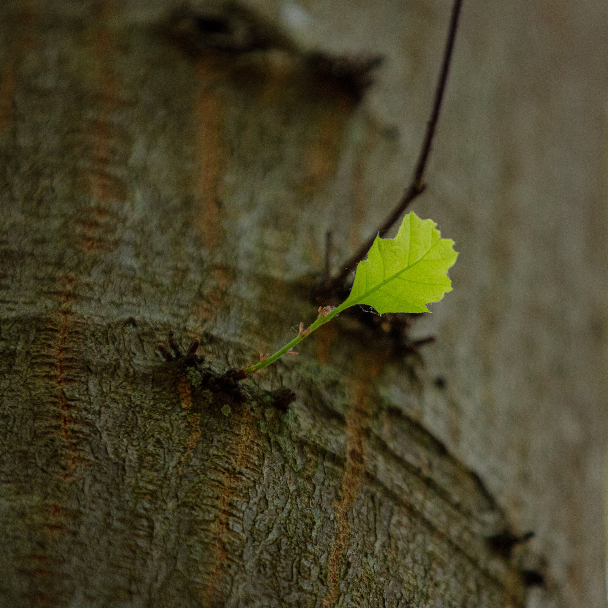 20230602170208 011045