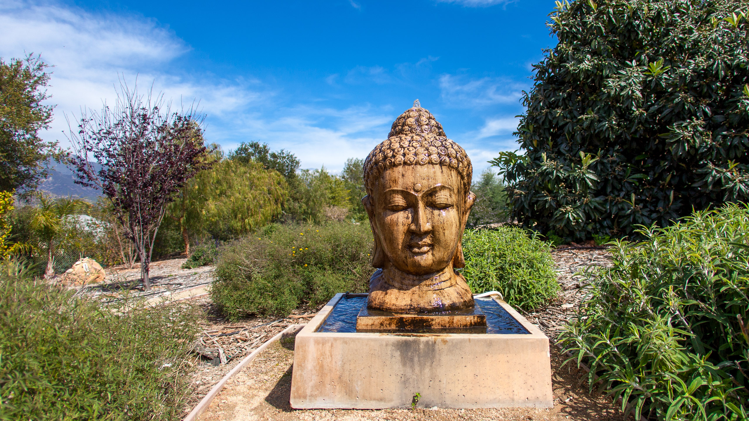 20120329153858 IMG 8549