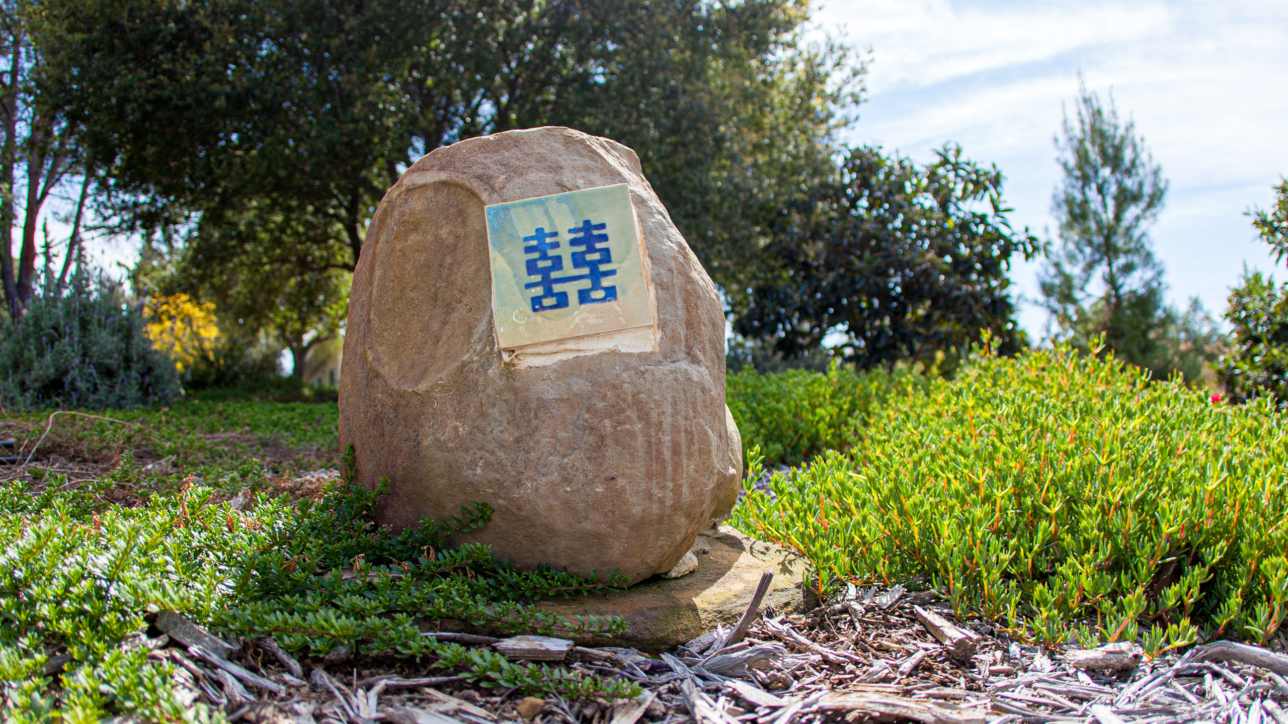 20120329153933 IMG 8554