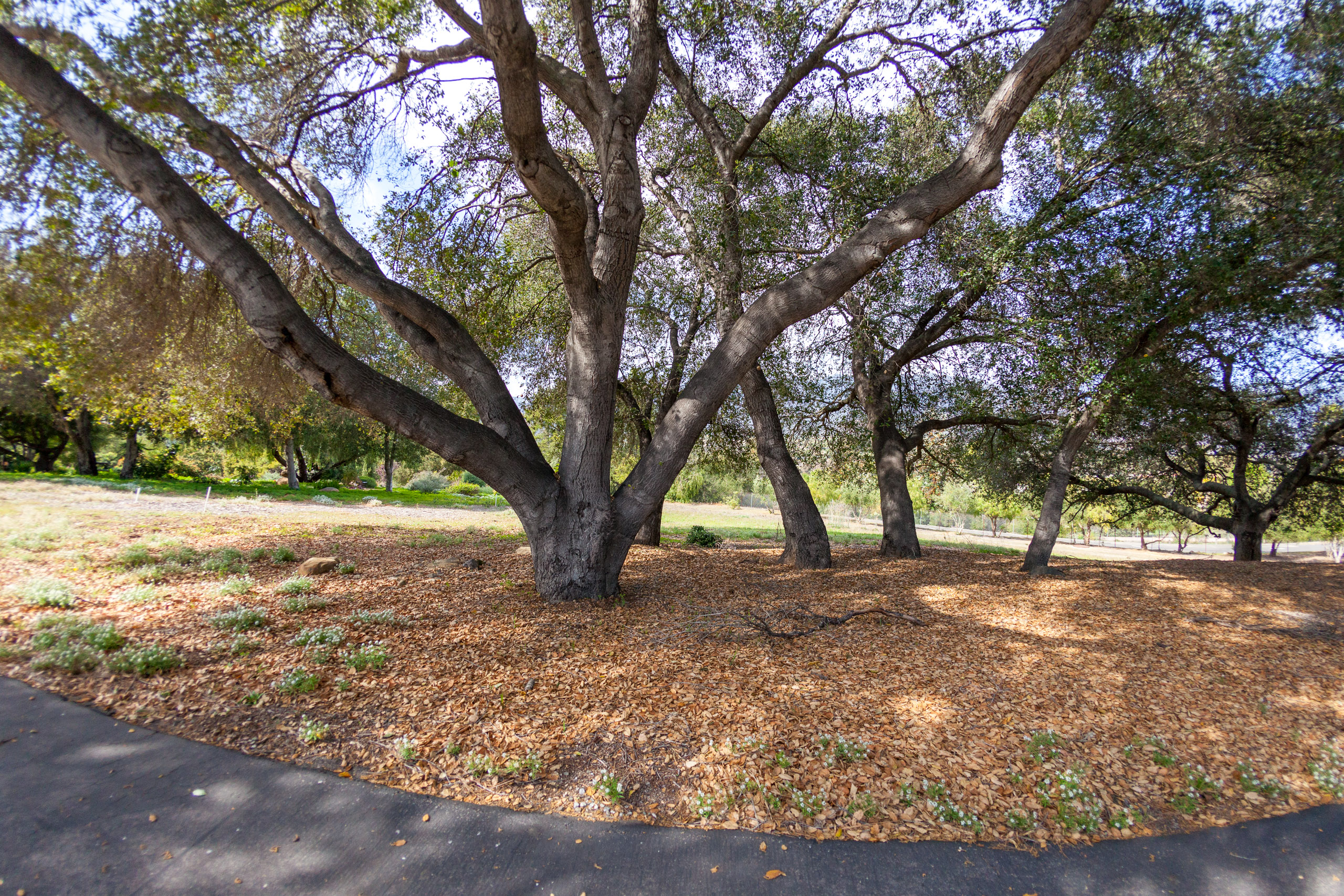 20120329164602 IMG 8624