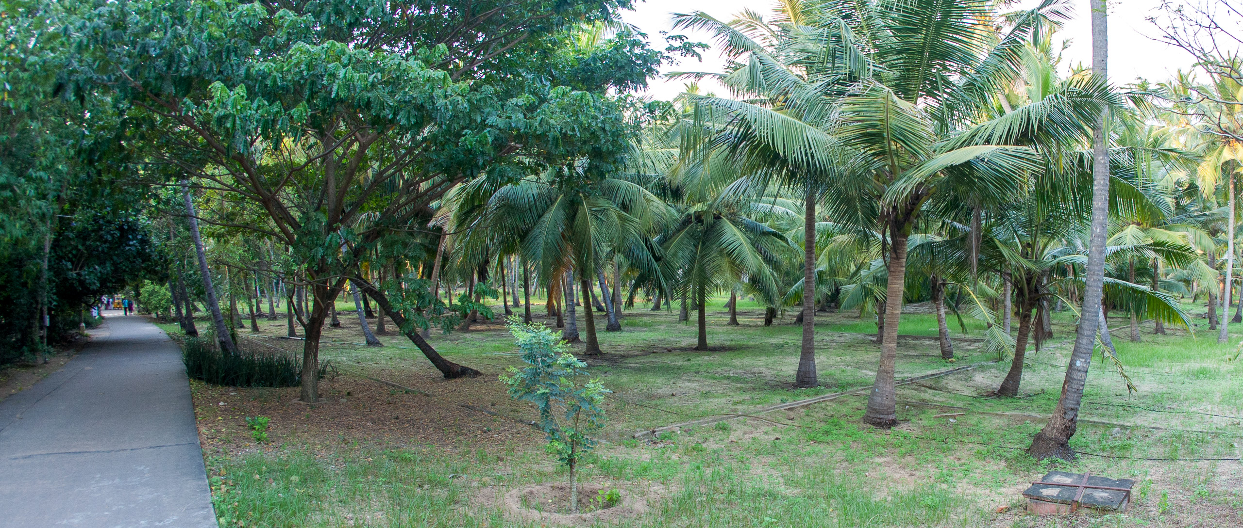 20101226165252 IMG 9649