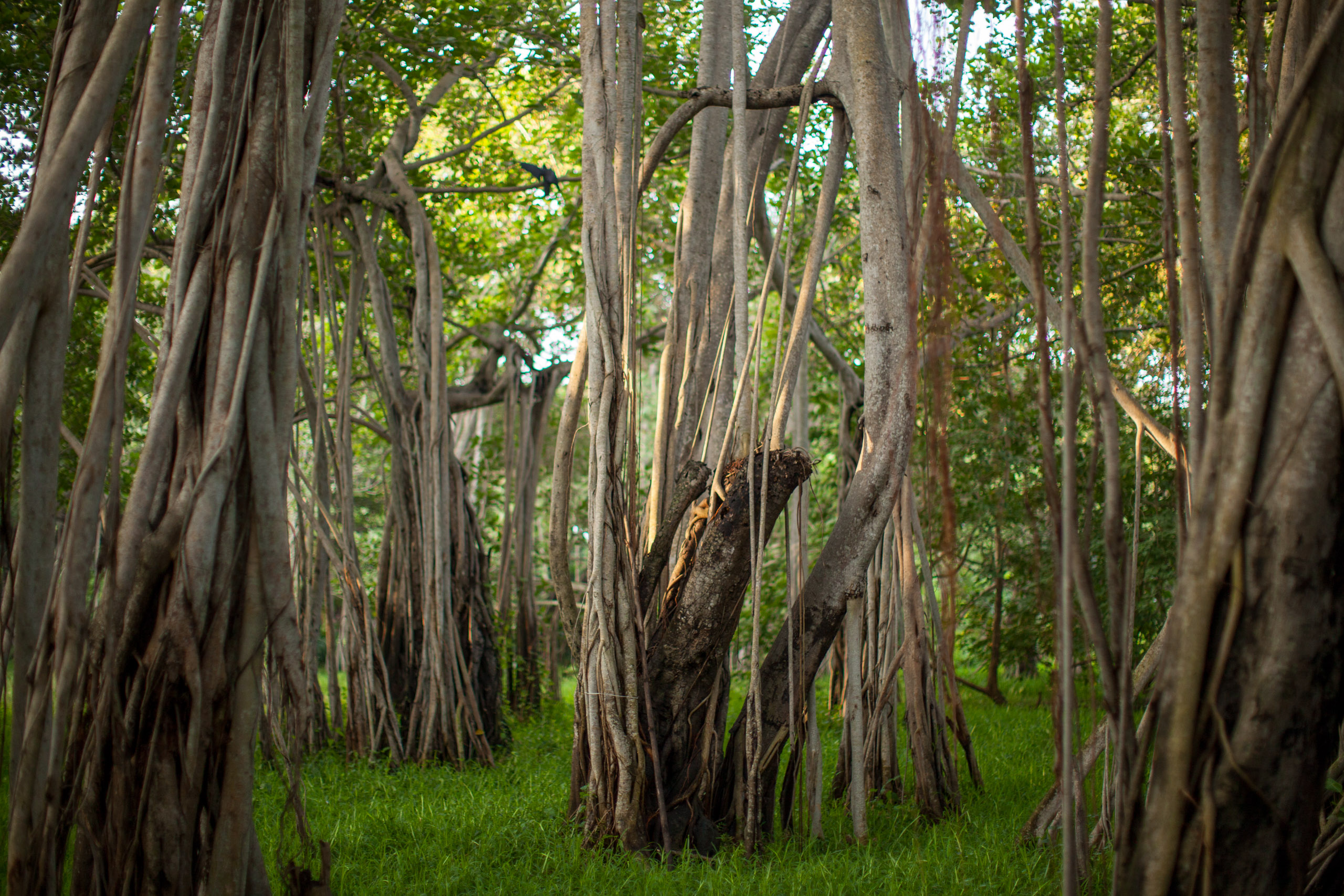 20110103071752 IMG 3442