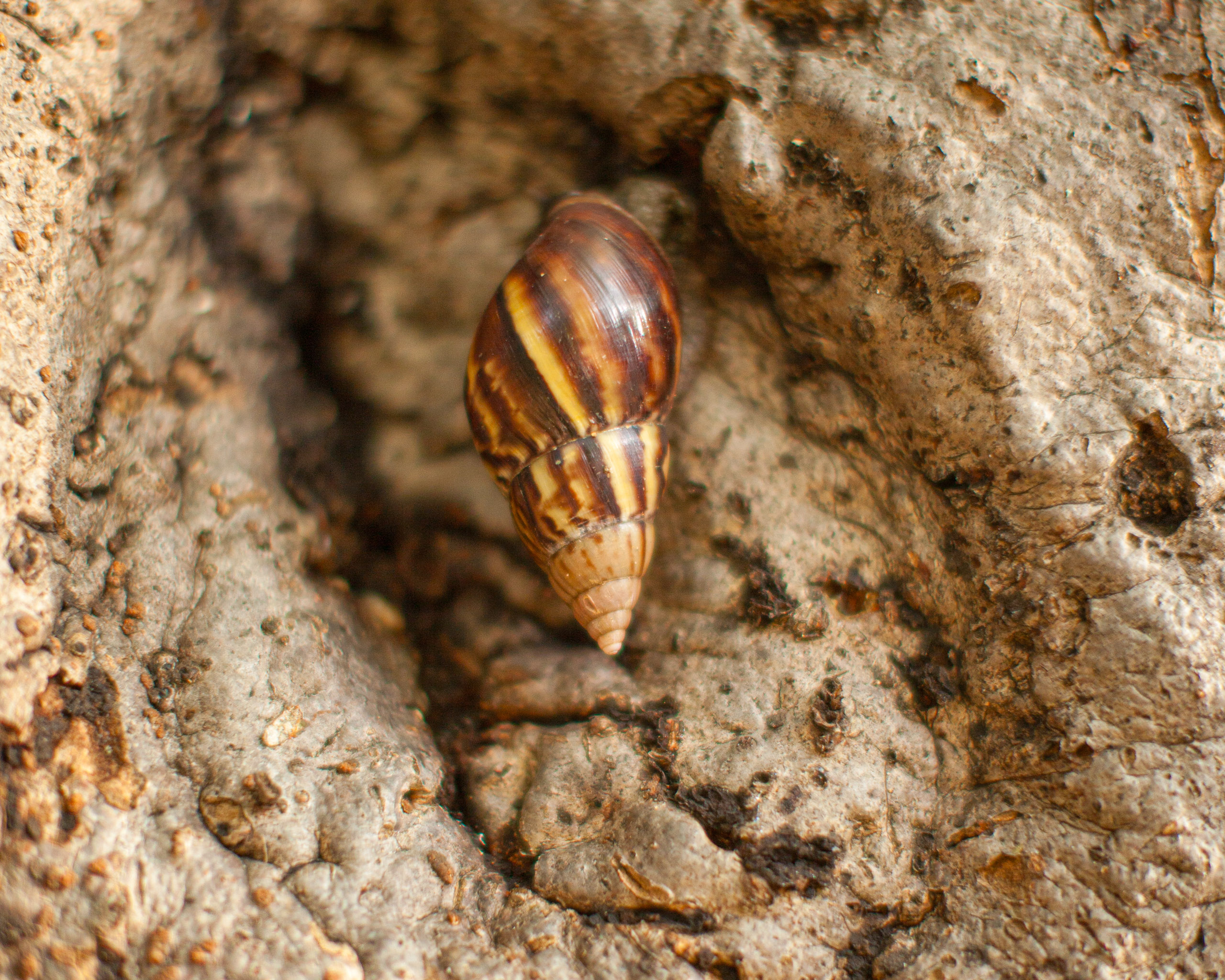 20110103080419 IMG 3527