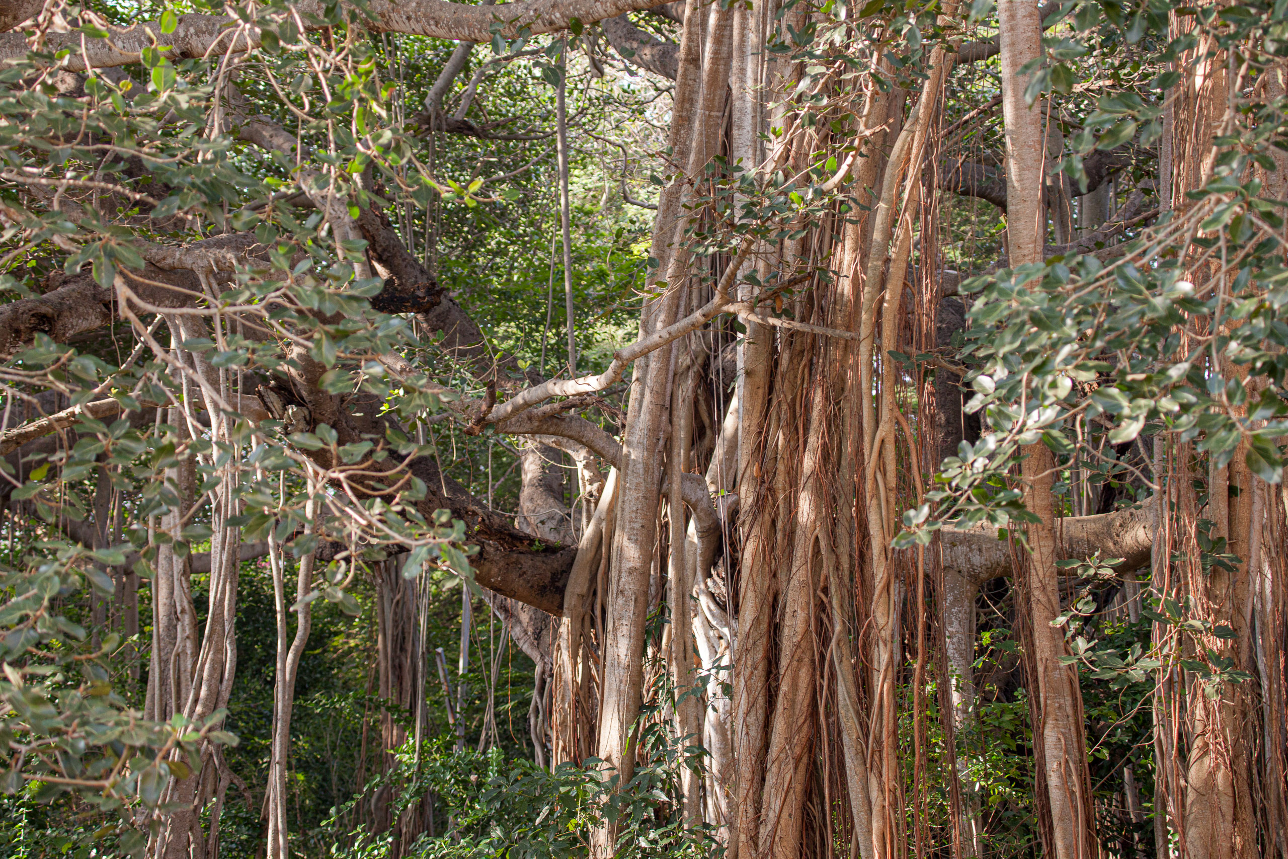 20110103081831 IMG 3542