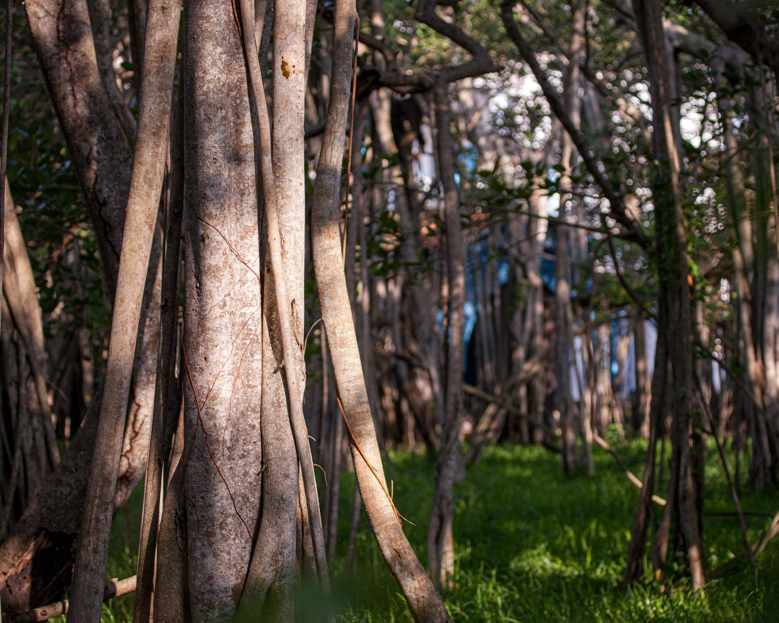 20110103082315 IMG 3567