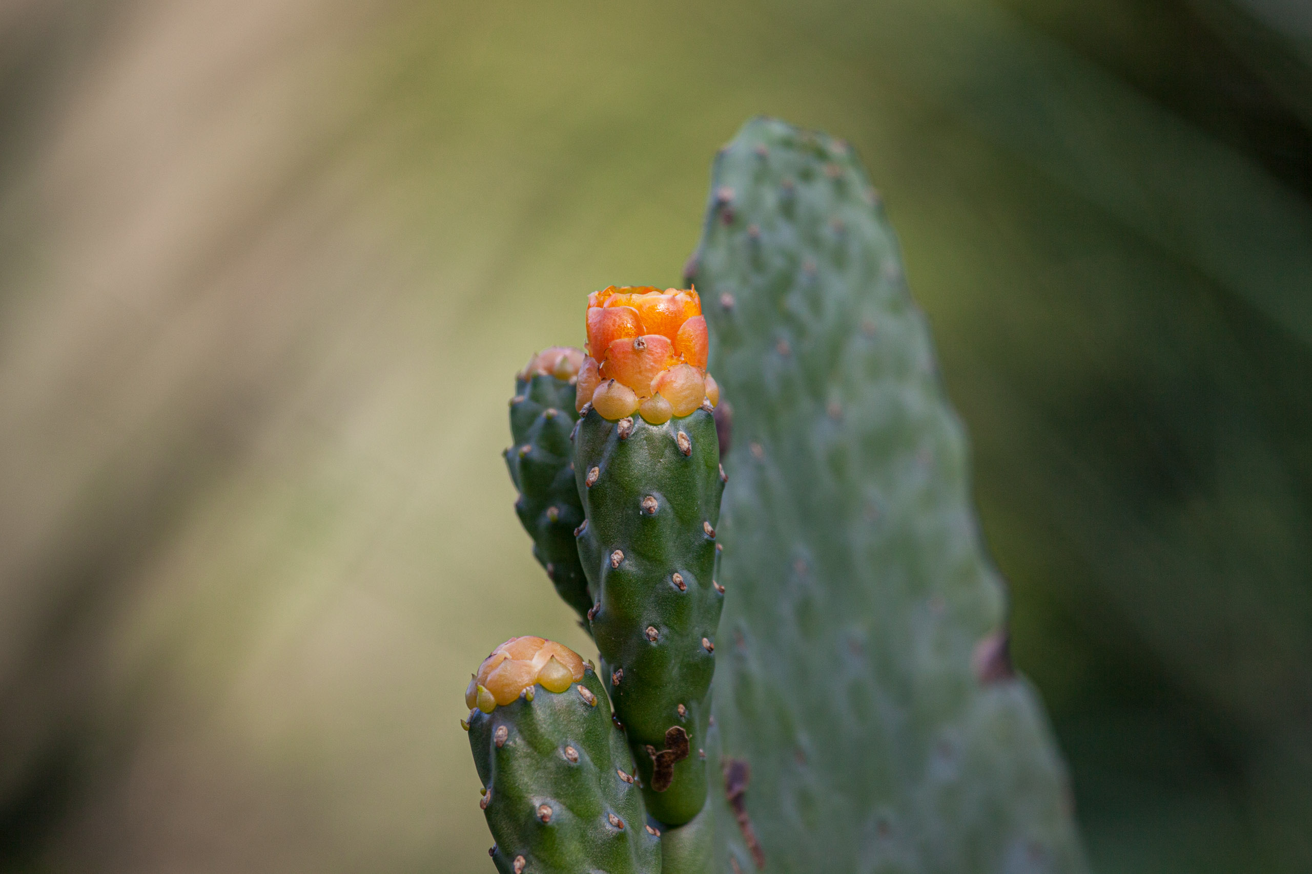 20110103083958 IMG 3688