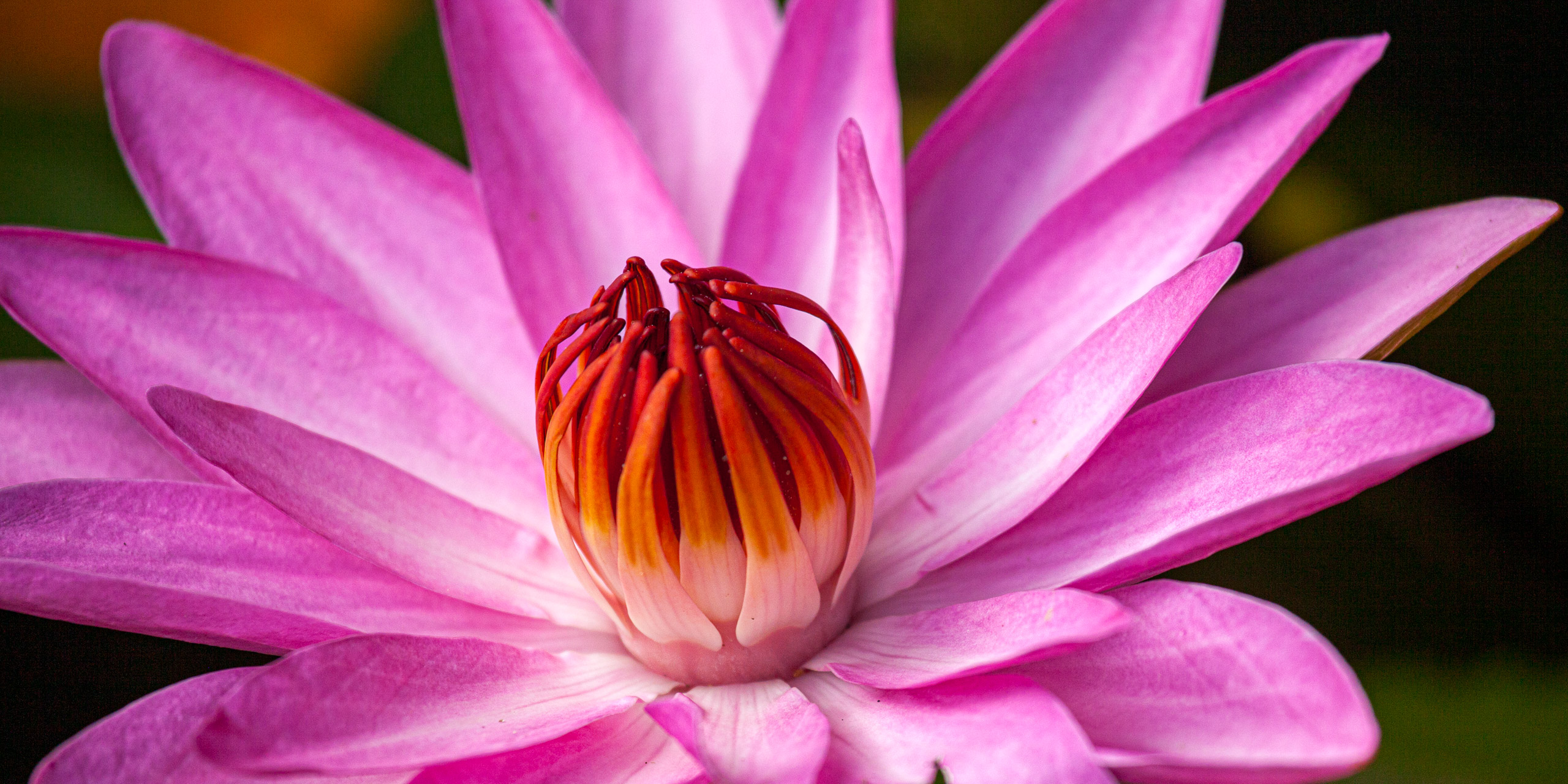 20110103084934 IMG 3735