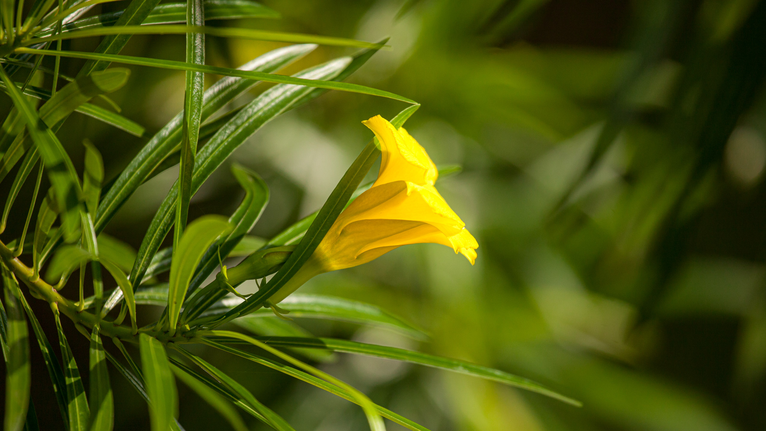 20110103090229 IMG 3784