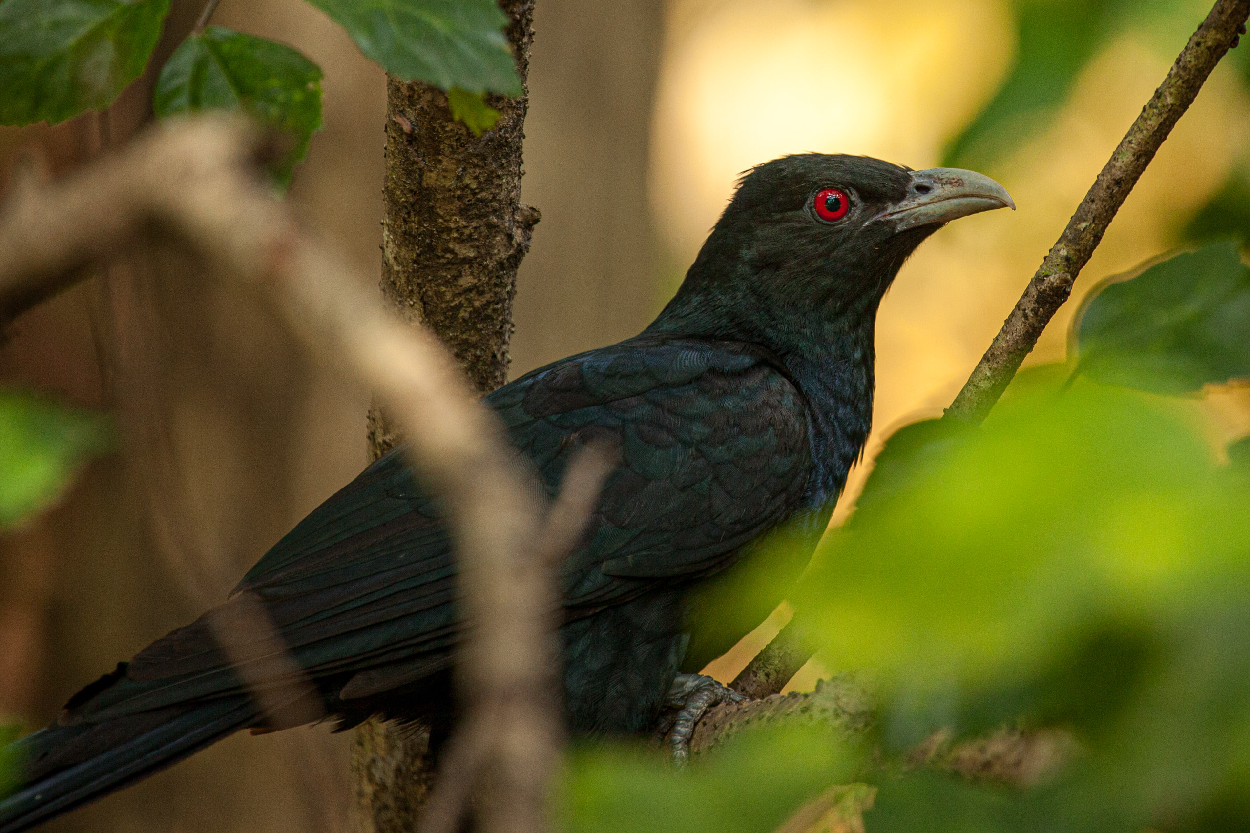 20110103092804 IMG 3879