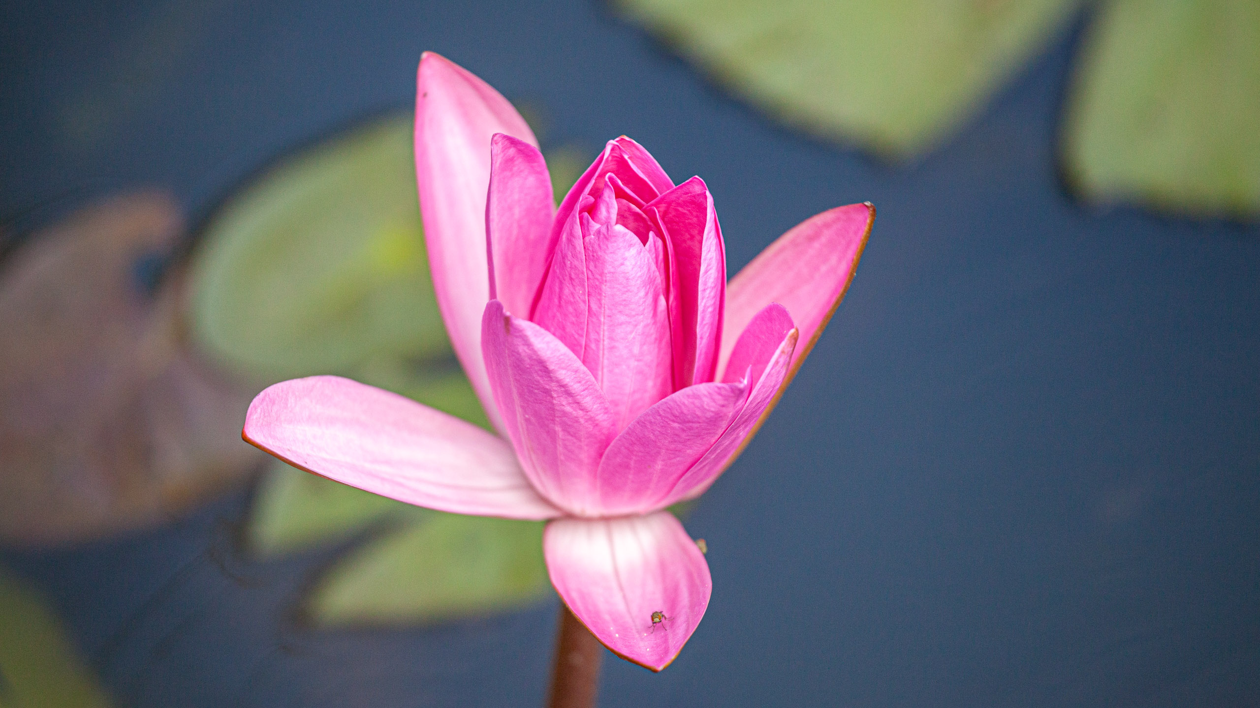 20110103093506 IMG 3929