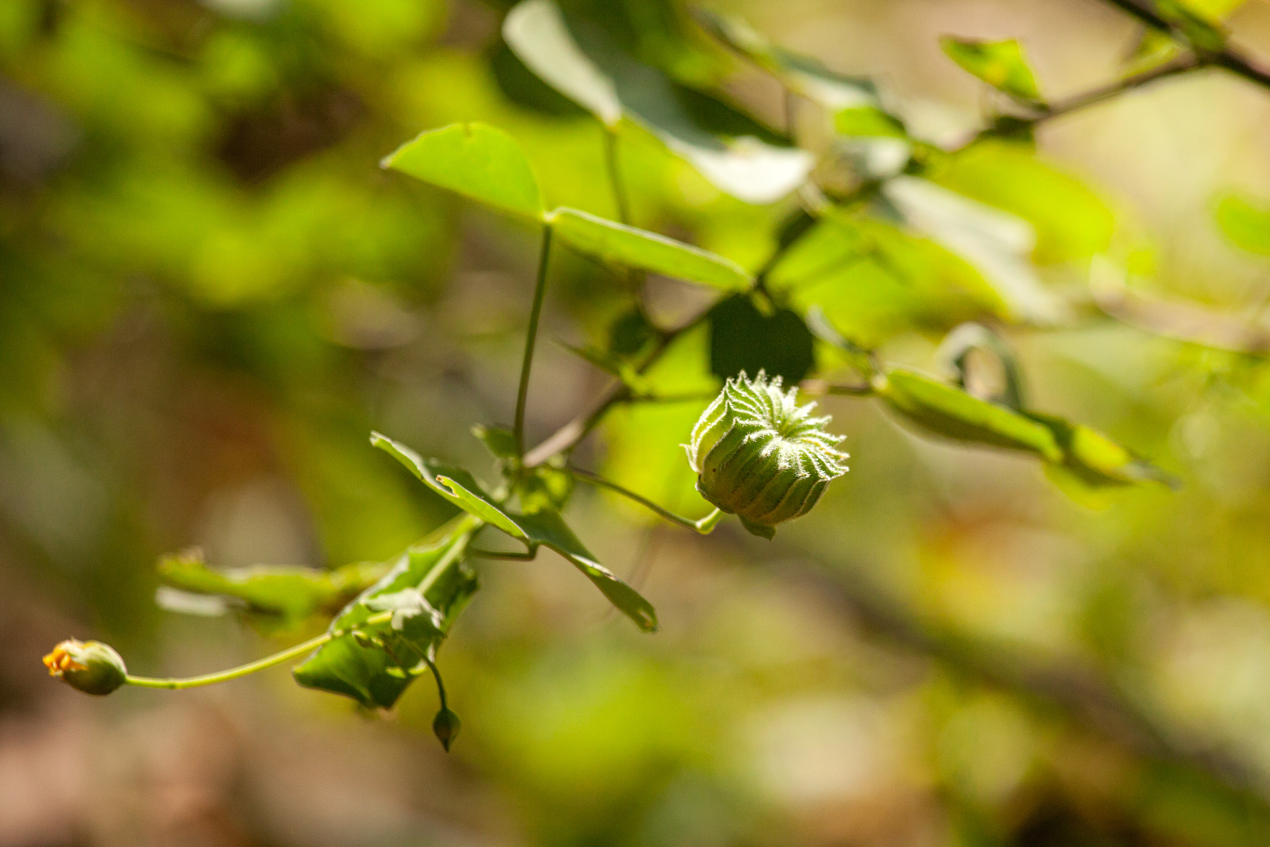 20110103093919 IMG 3954