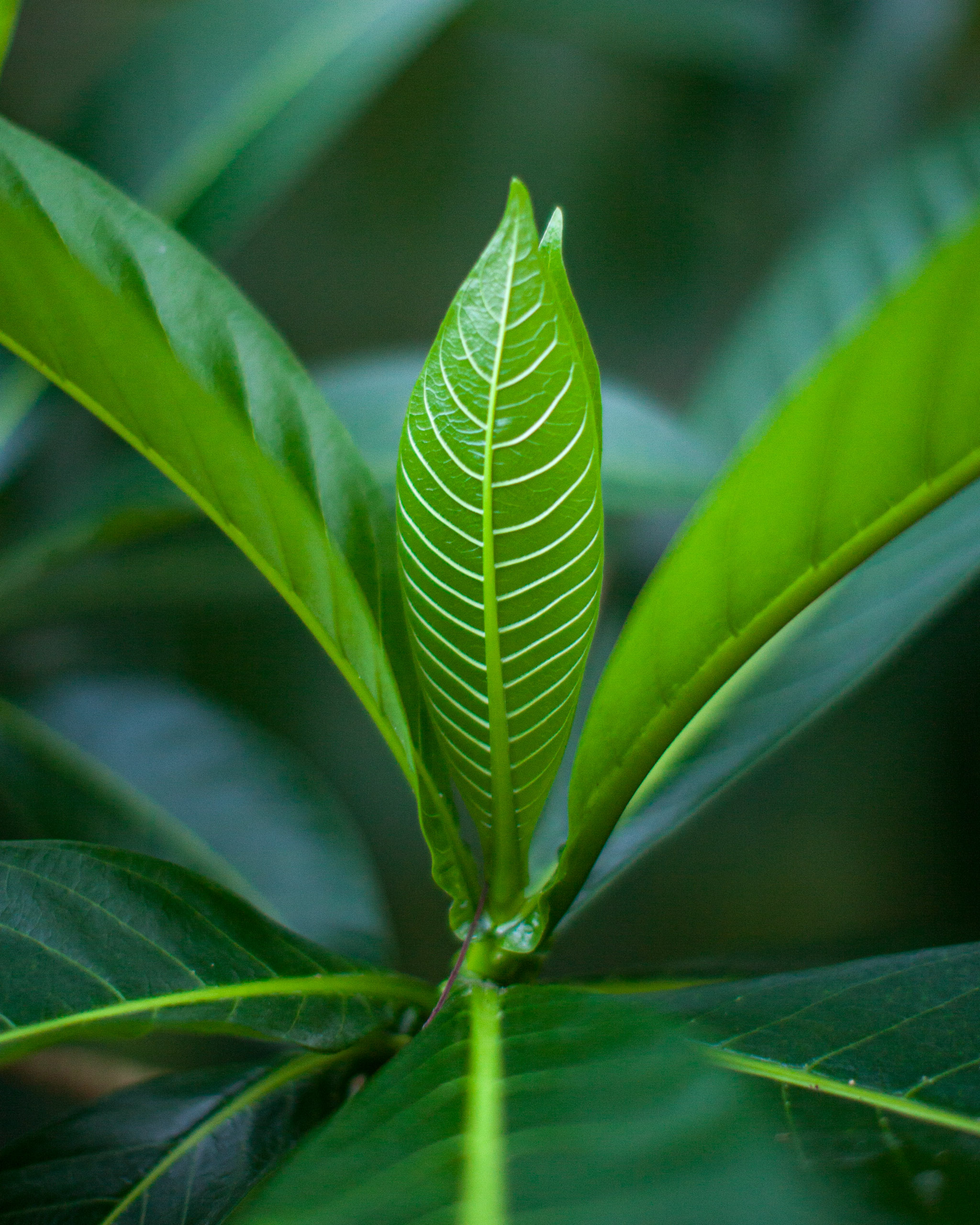 20110104062428 IMG 4172