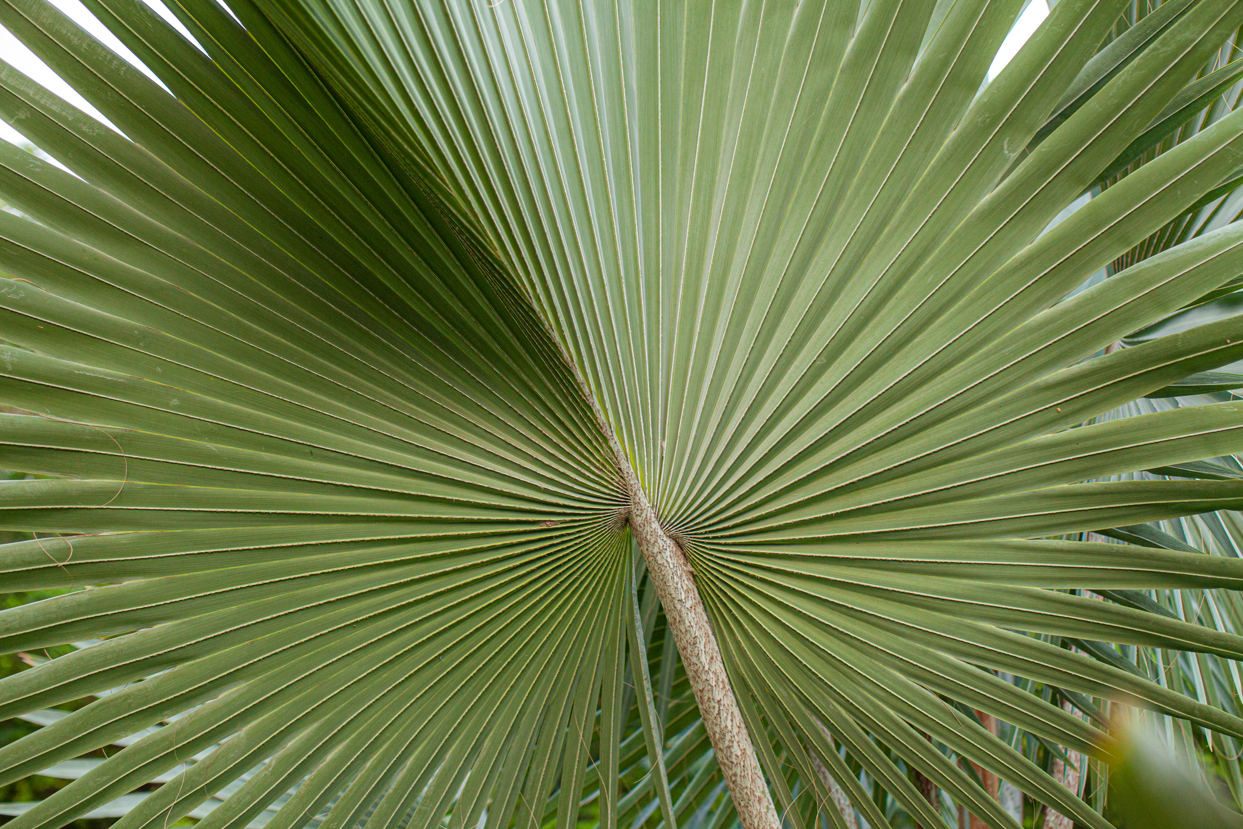 20110104064249 IMG 4286