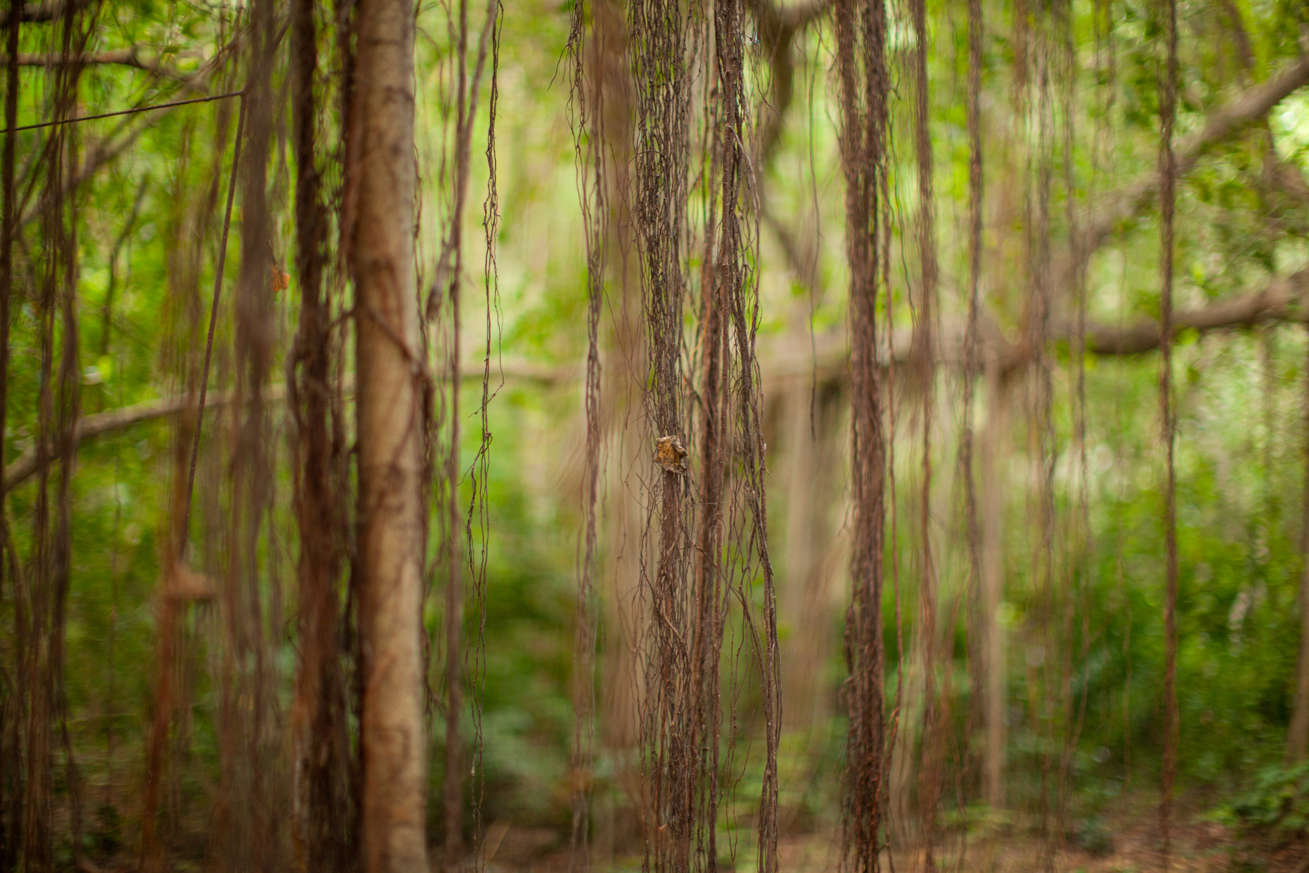 20110104065145 IMG 4359