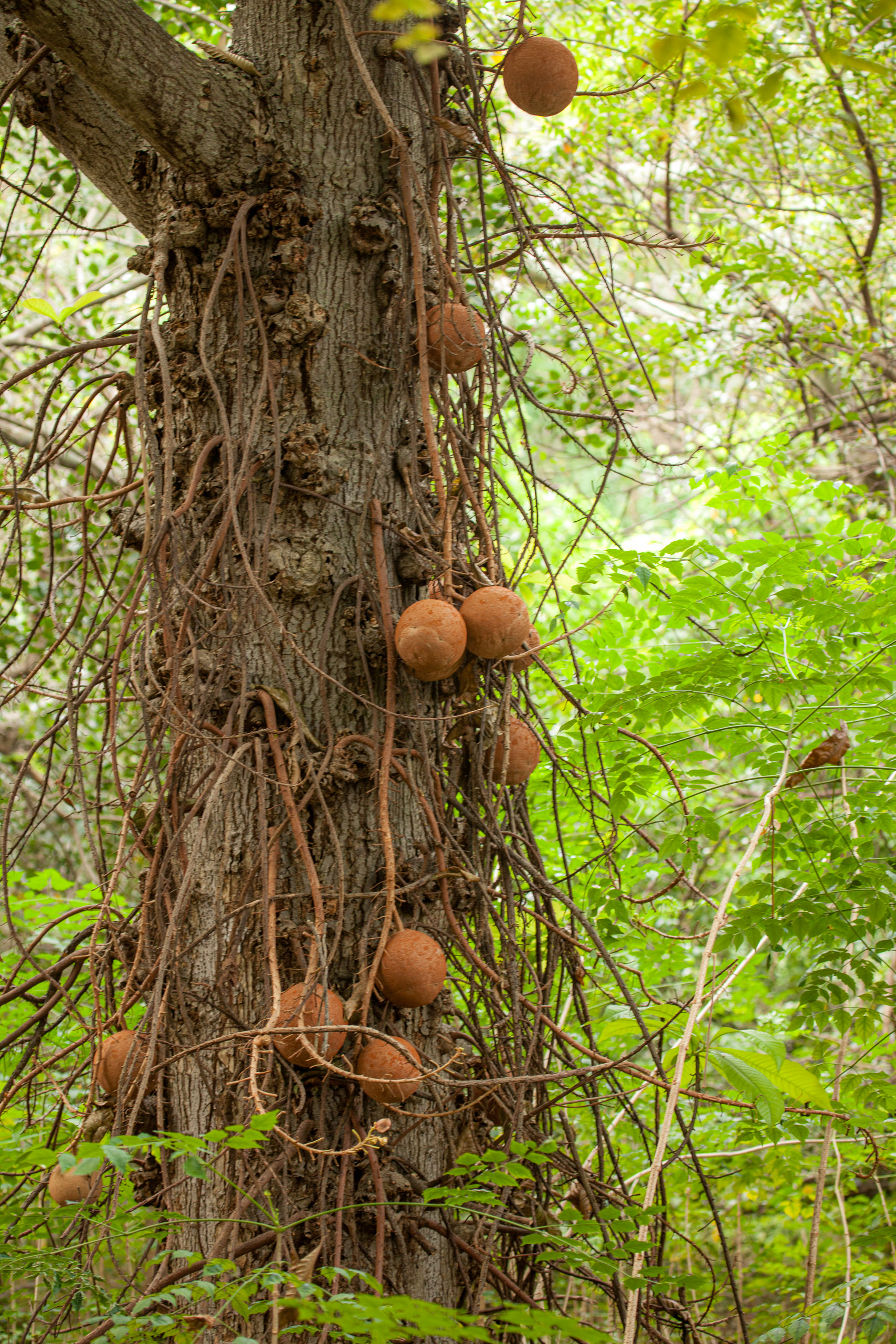 20110104085005 IMG 4381