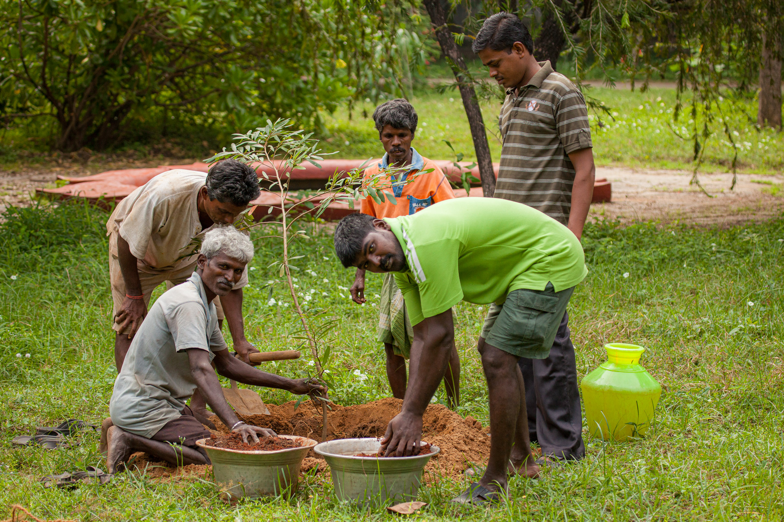 20110104100455 IMG 4663