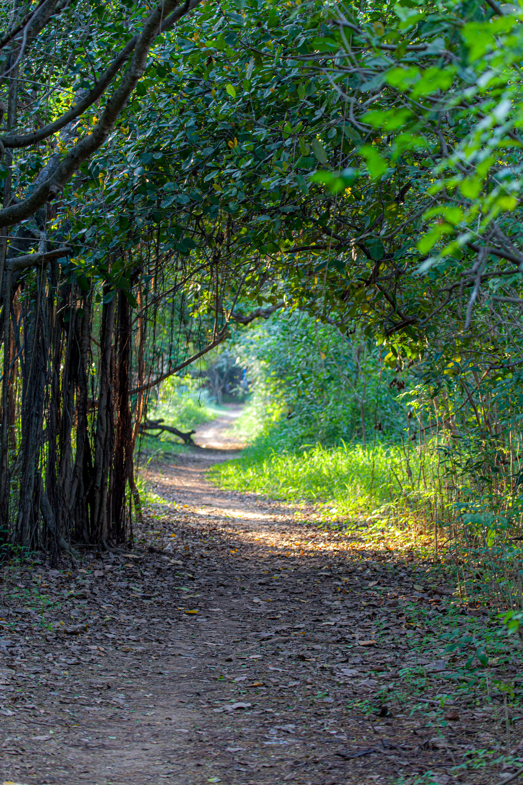 20101226164244 IMG 0941