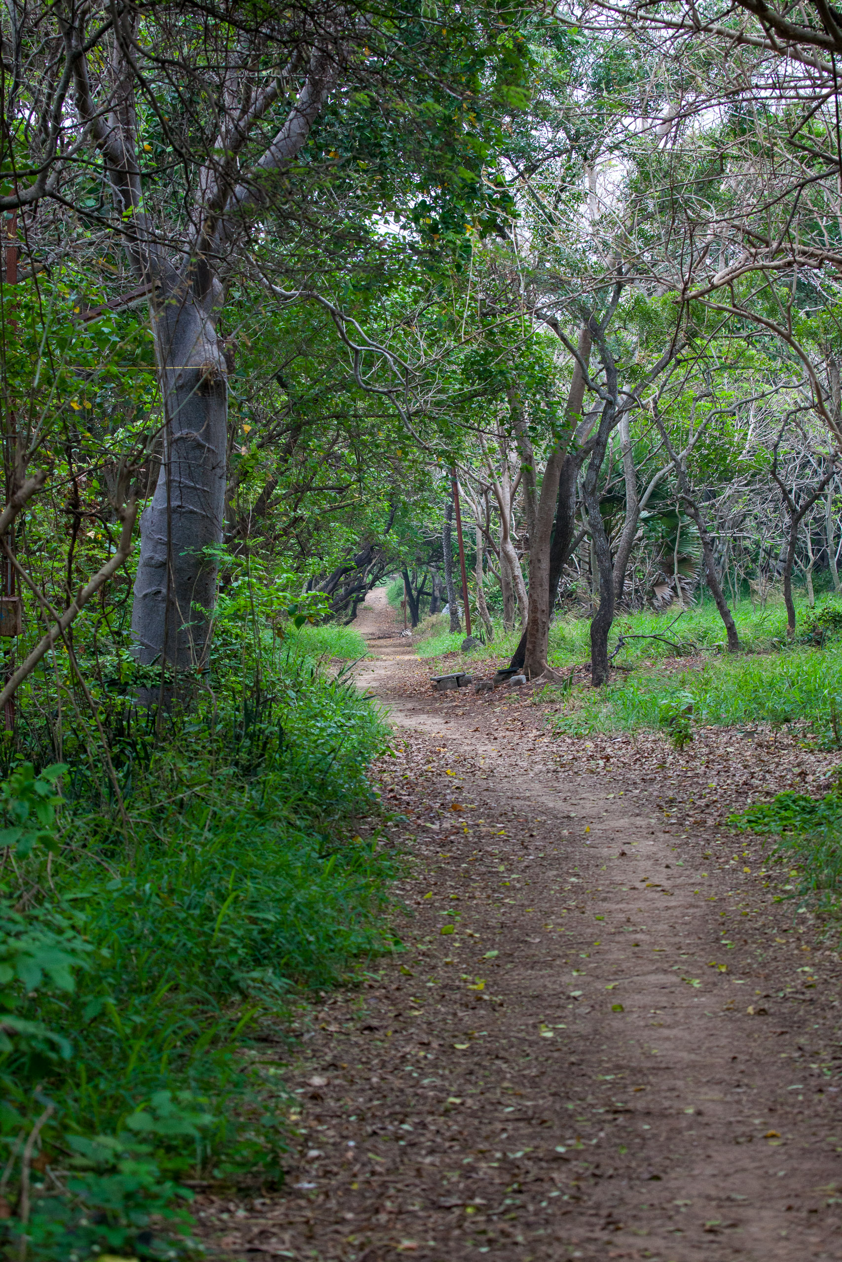 20110102161436 IMG 2922