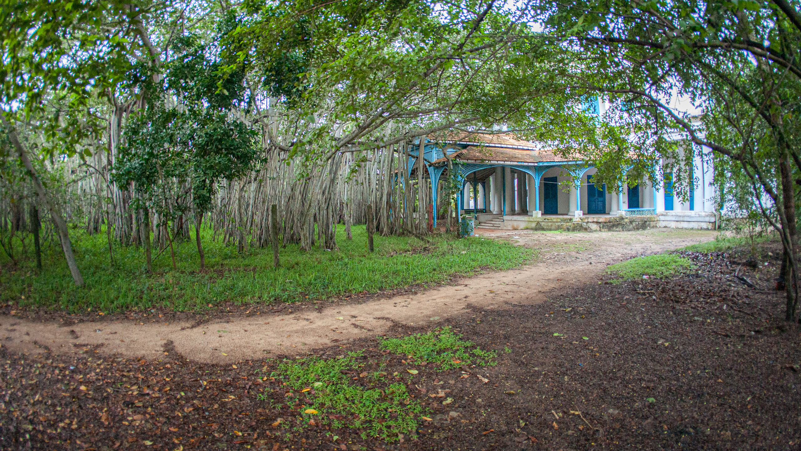 20110103063341 IMG 0528