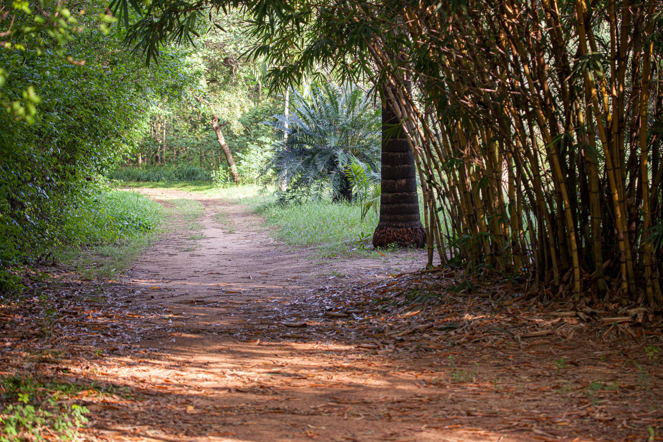 20110103082234 IMG 3560