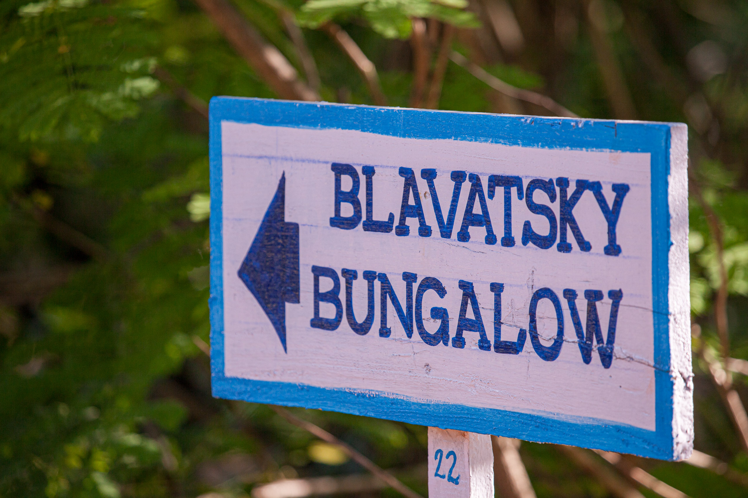 20110103082751 IMG 3595