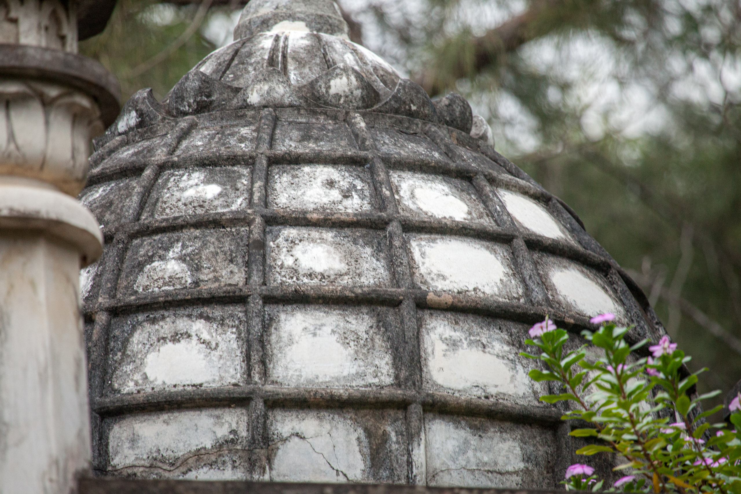 20110102172544 IMG 3098