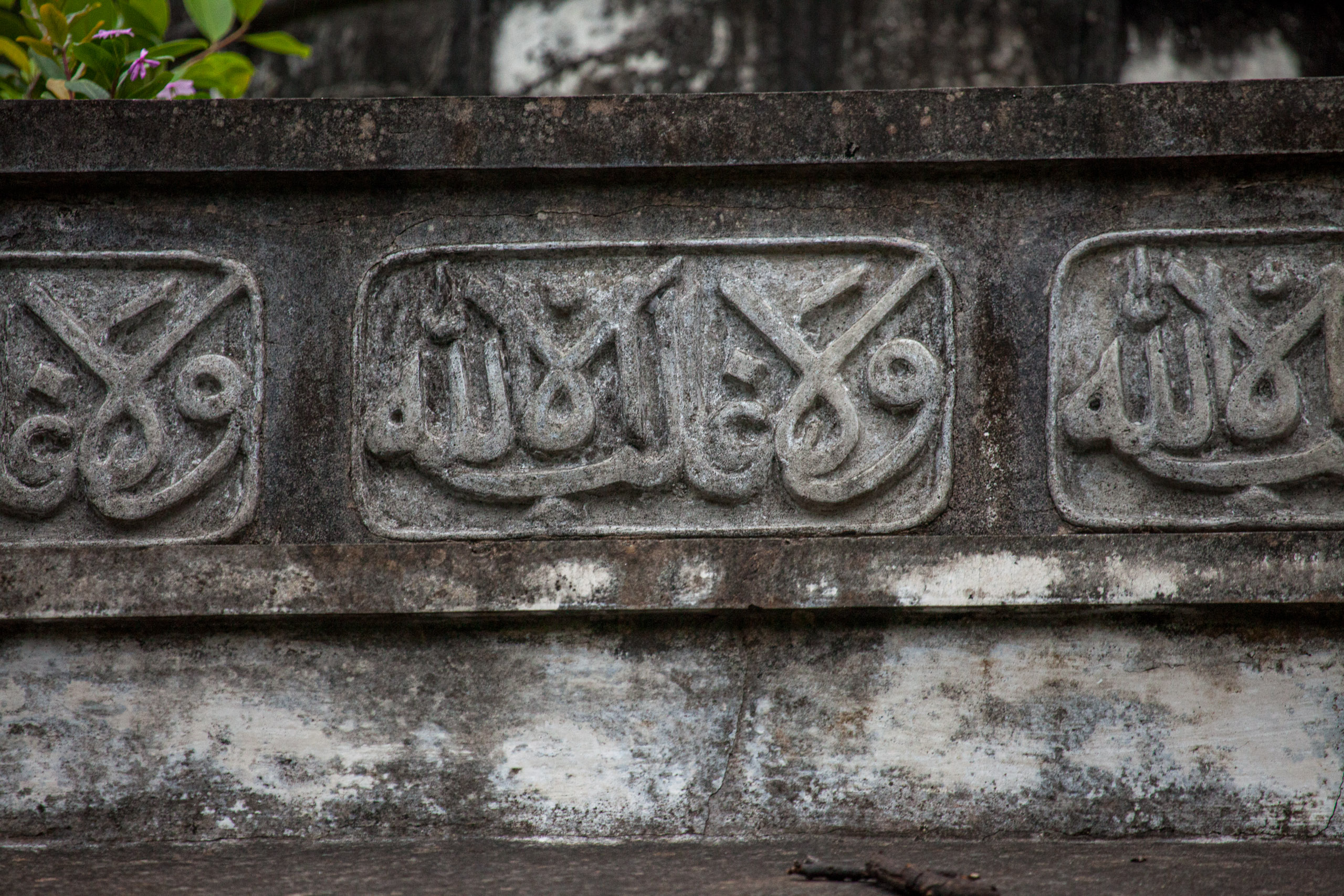 20110102172704 IMG 3106