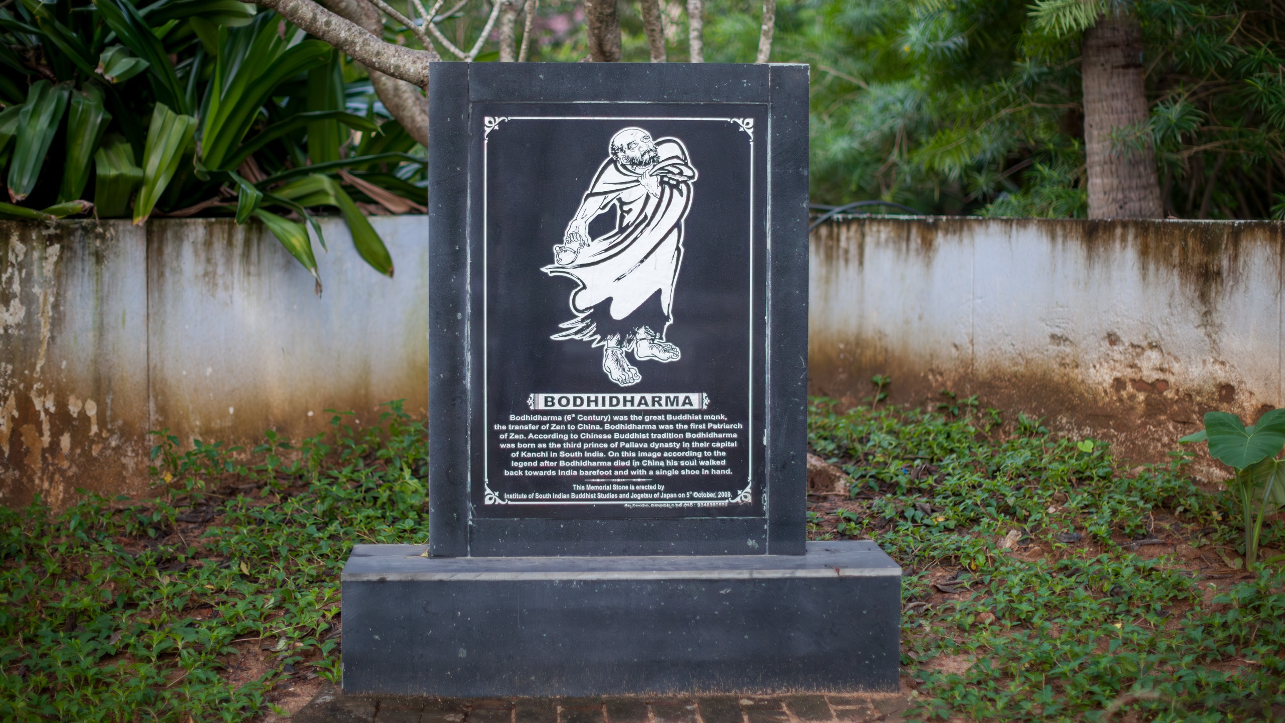 20110103065652 IMG 3290