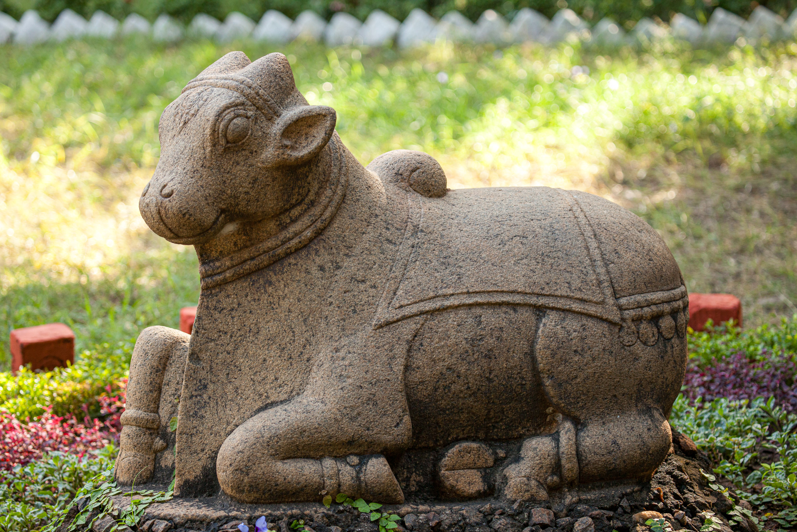 20110103085810 IMG 3750