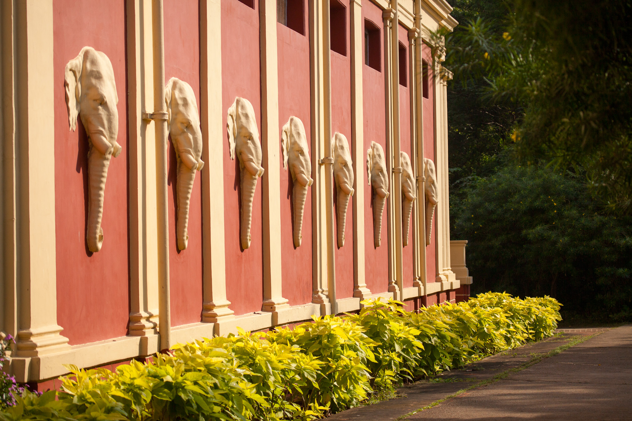 20110103090259 IMG 3786