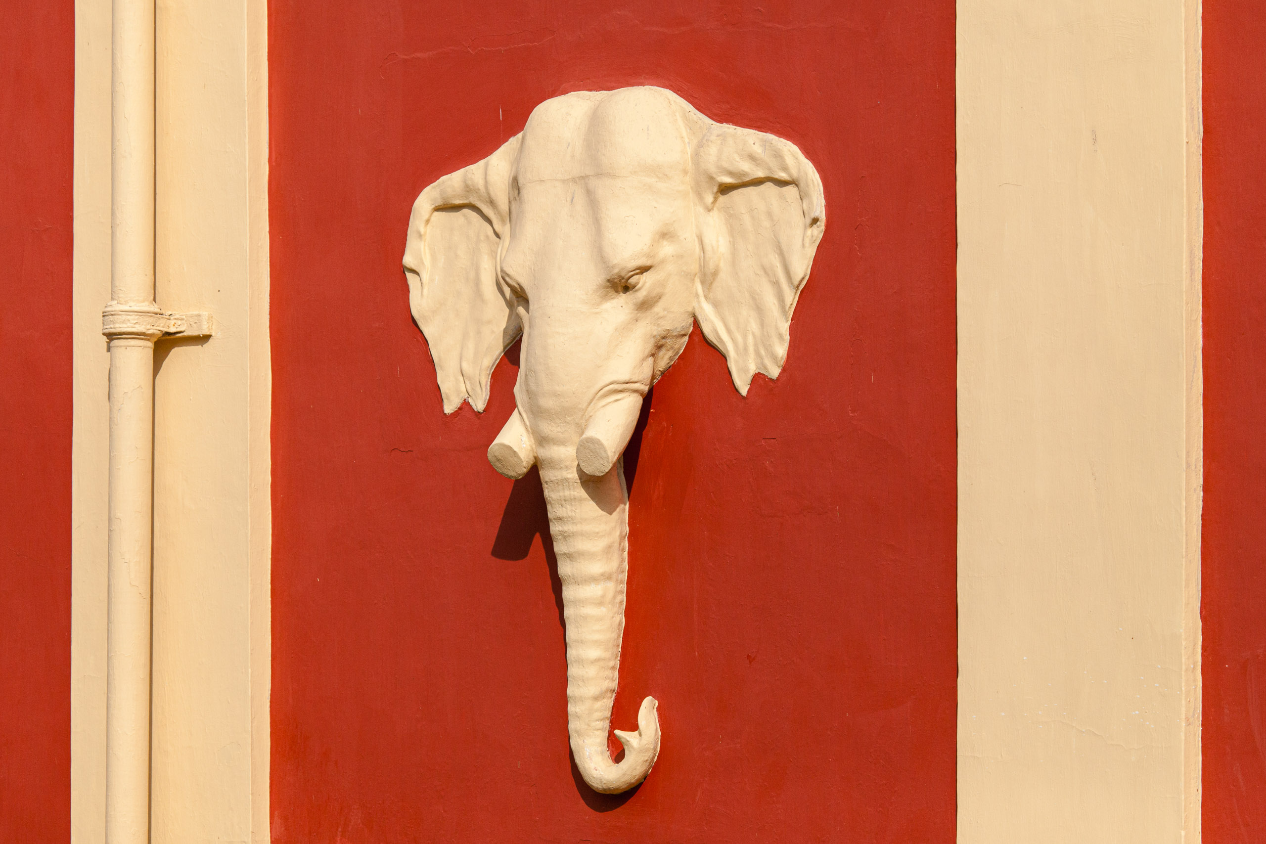 20110103092515 IMG 3866