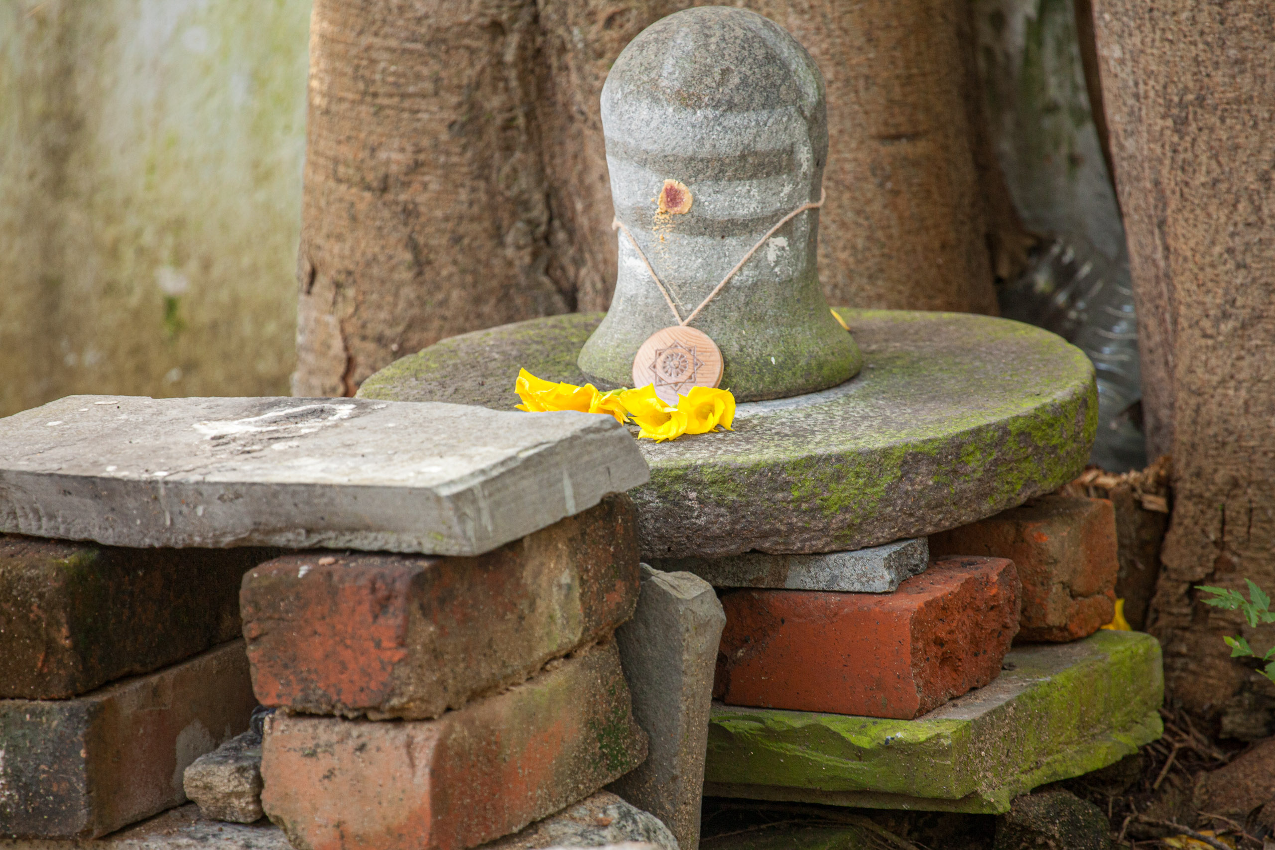 20110103093215 IMG 3900