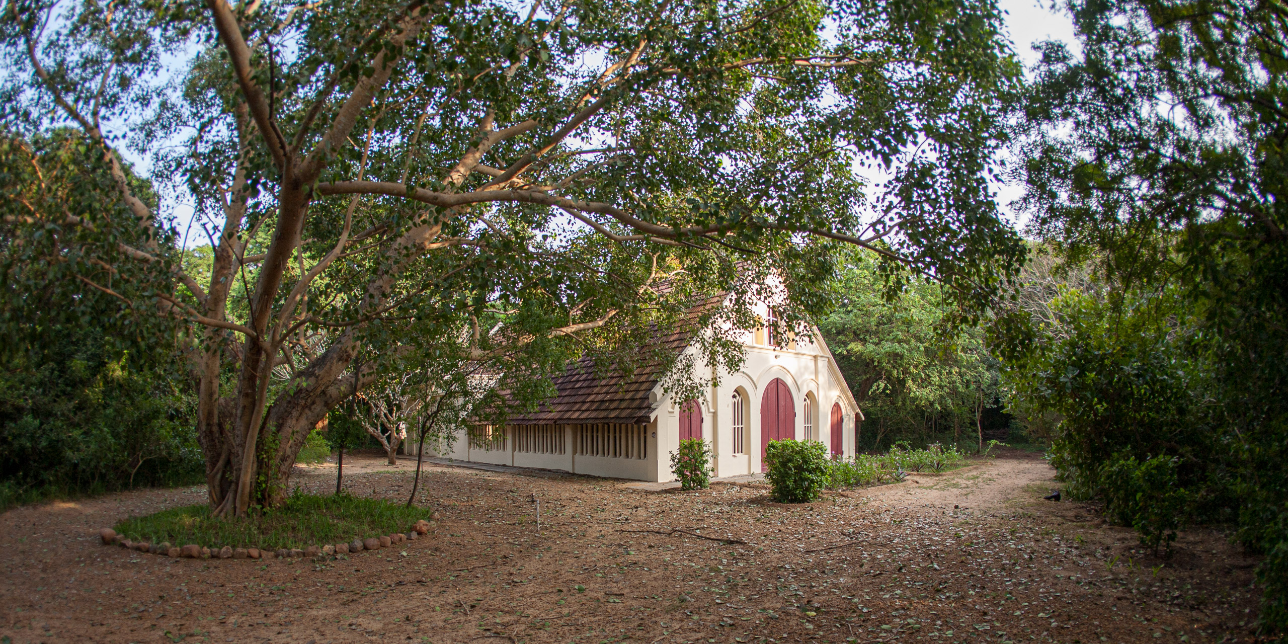 20110103163643 IMG 0705