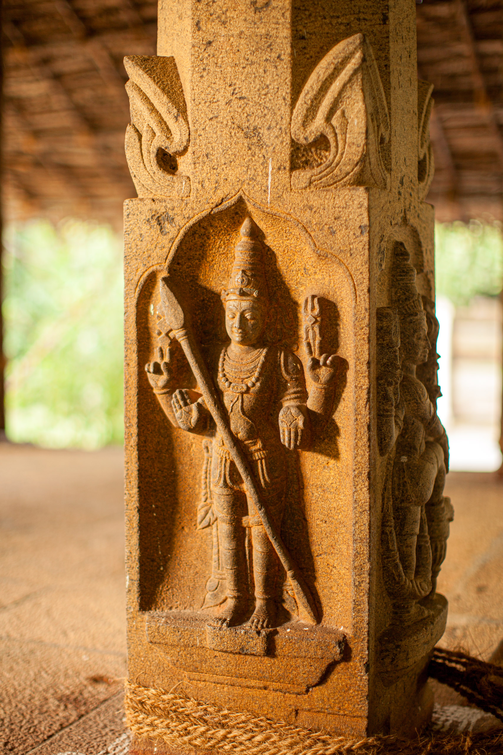 20110103170515 IMG 4076