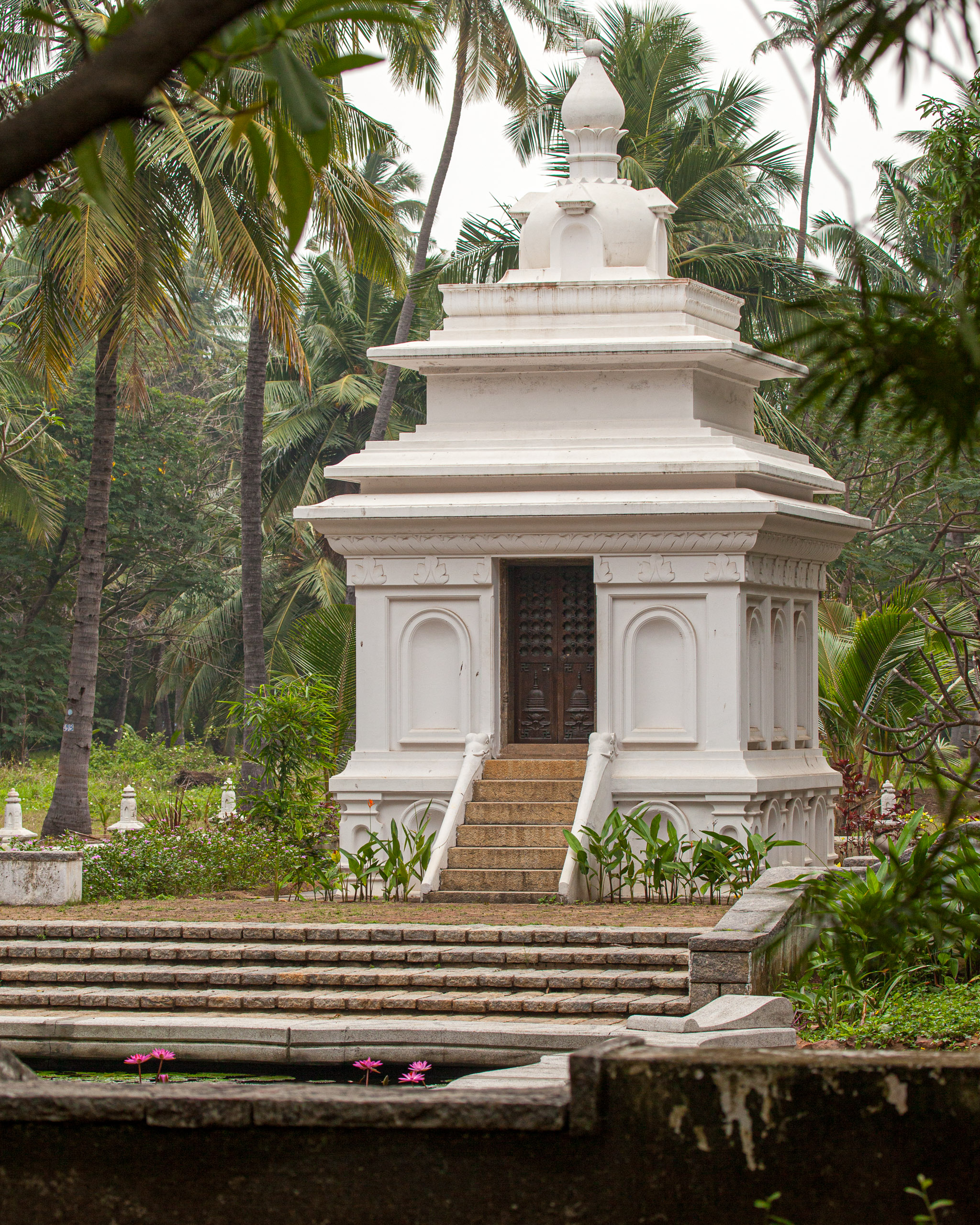 20110104090623 IMG 4436