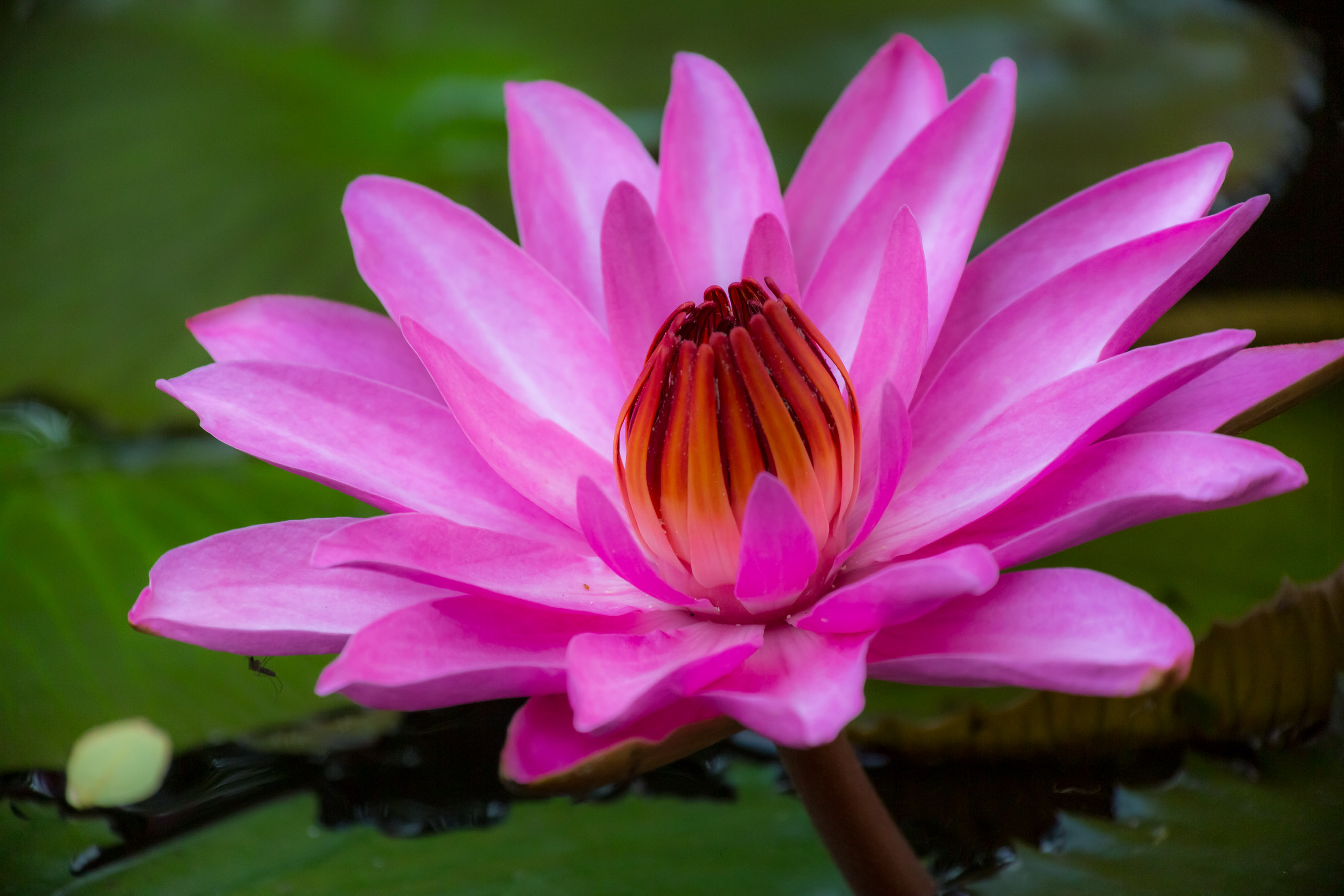 20130105085018 RD 27532