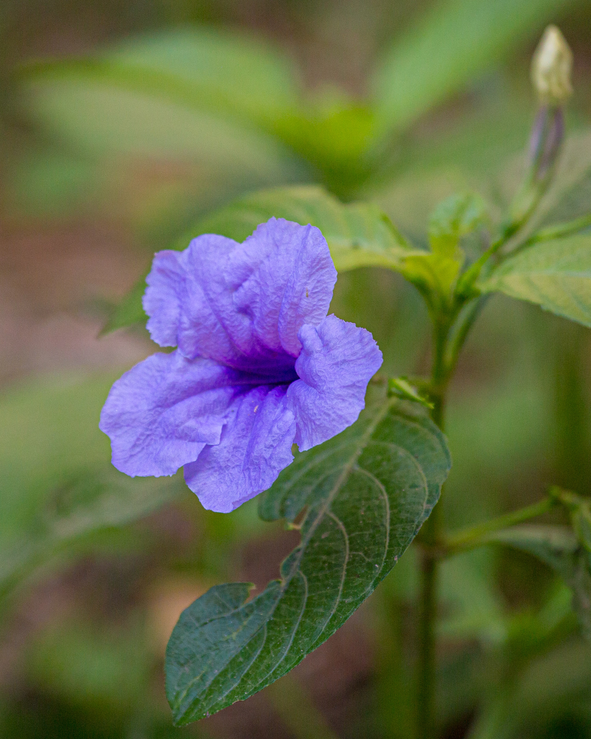 20130111112835 RD 20031