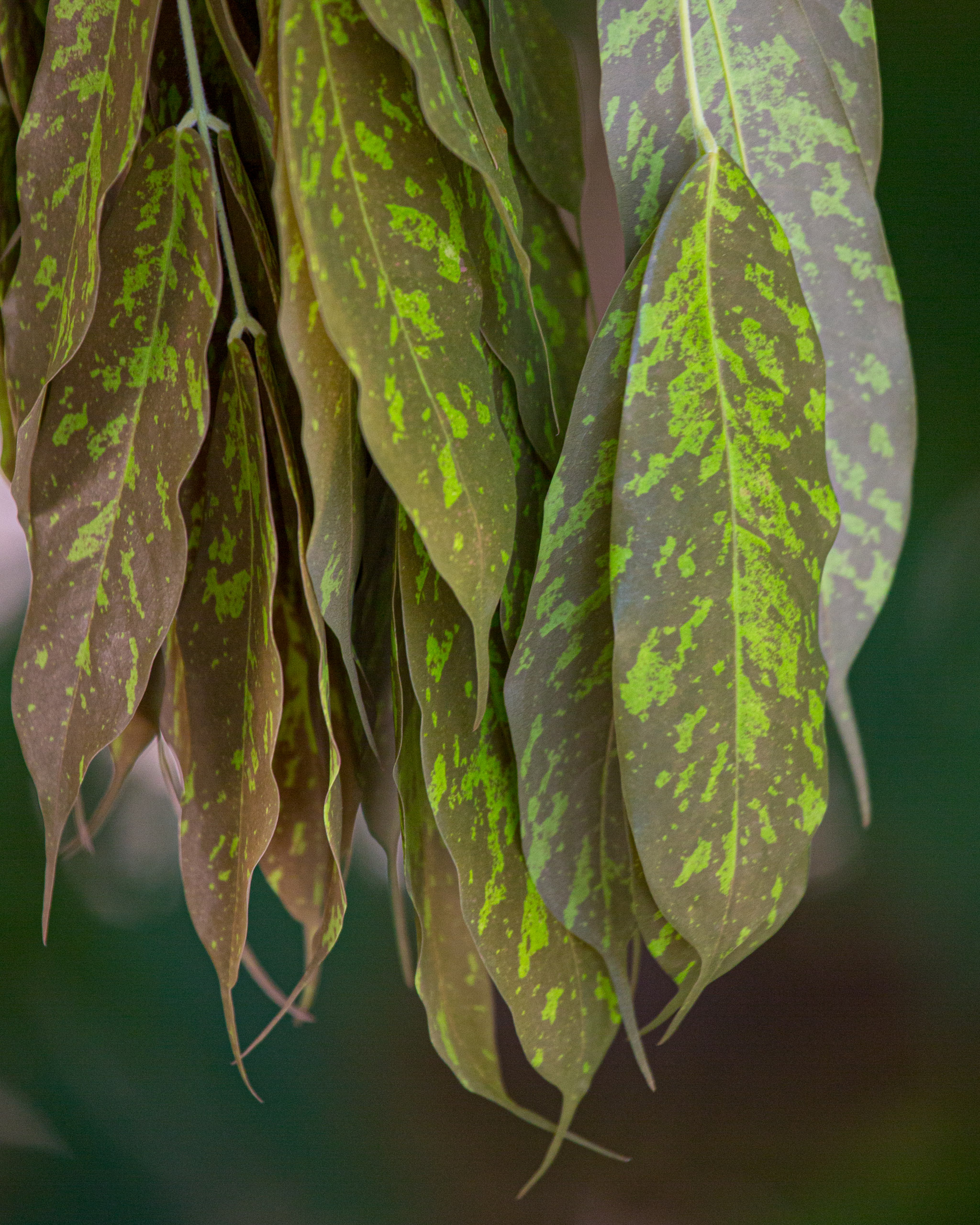 20130111113035 RD 20043