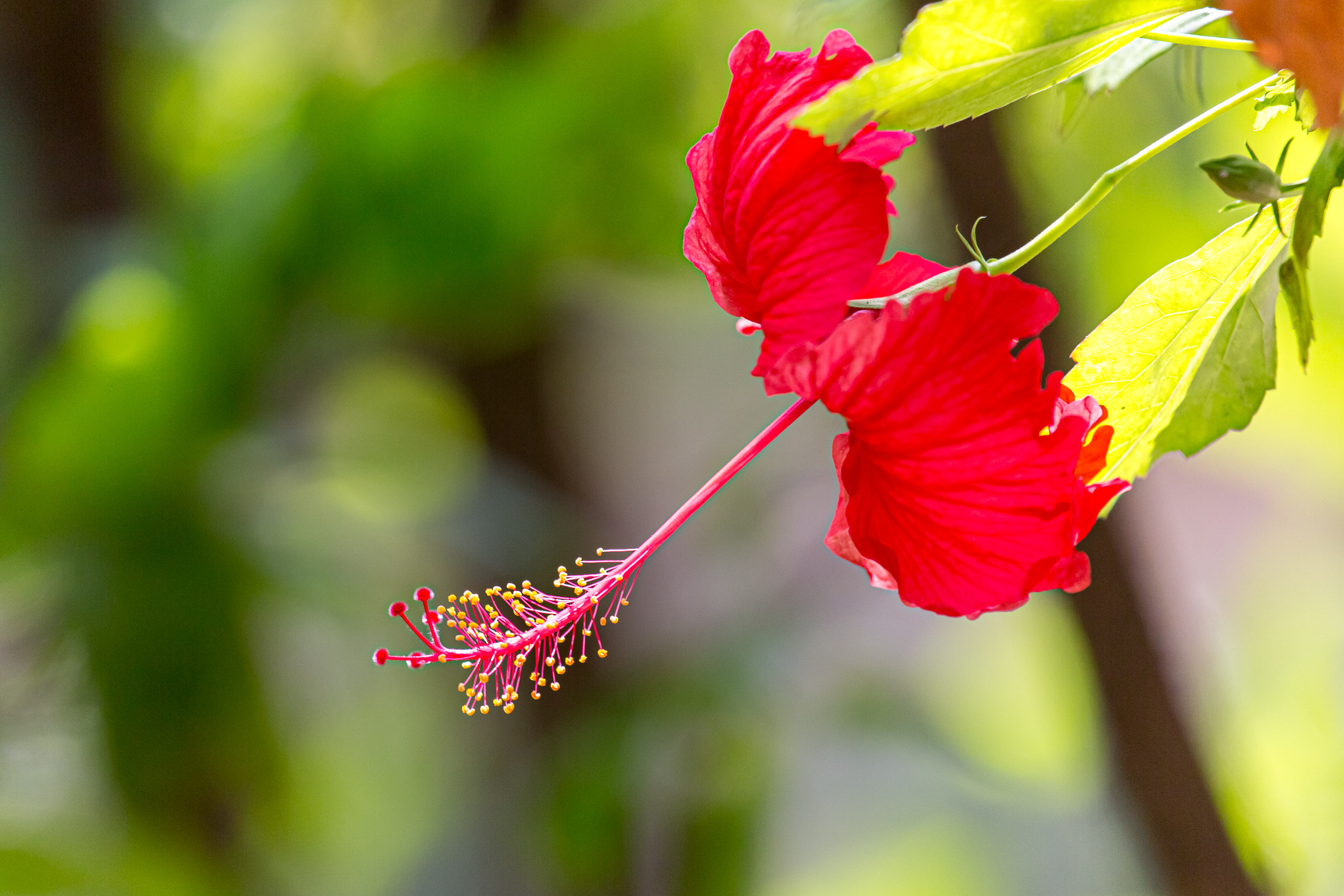 20130111123732 RD 20365