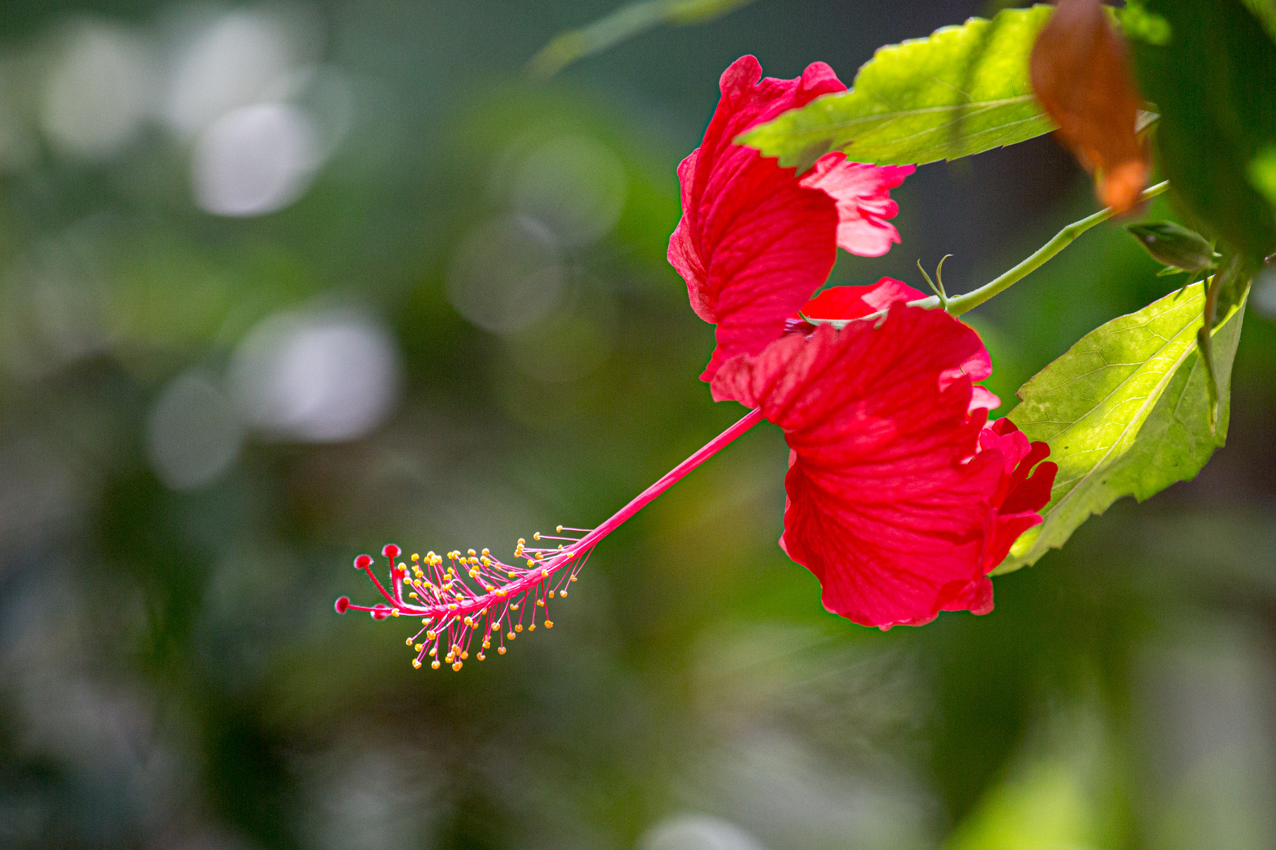 20130111123755 RD 20370