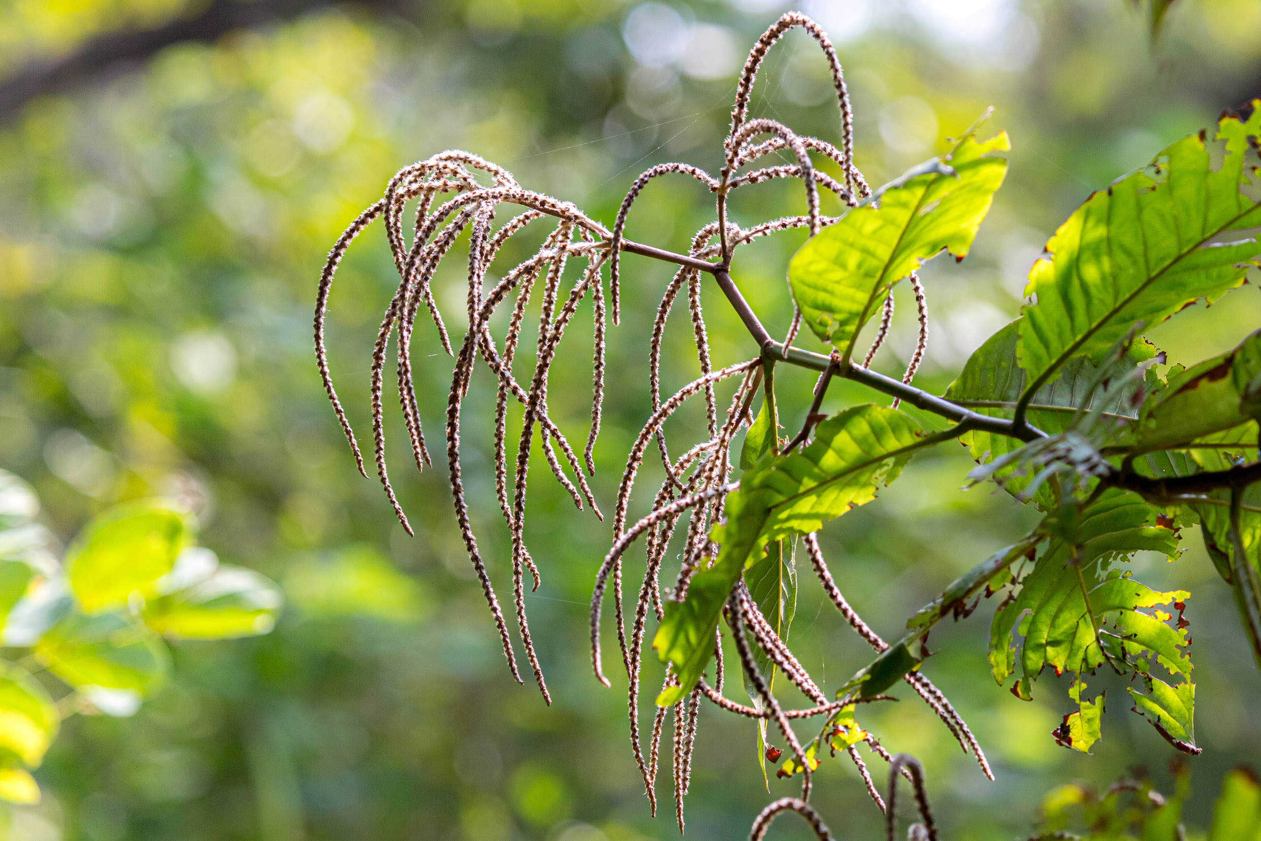 20130111123943 RD 20403