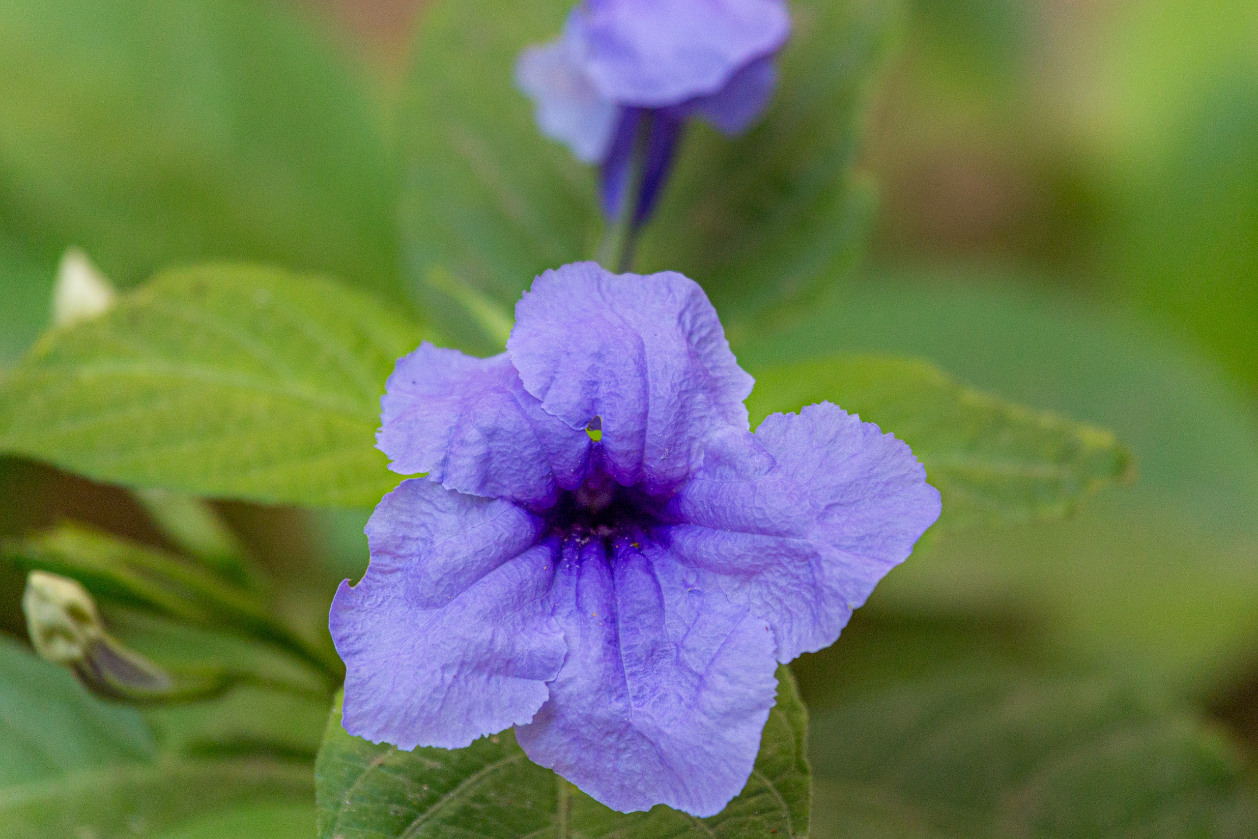 20130111124533 RD 20438