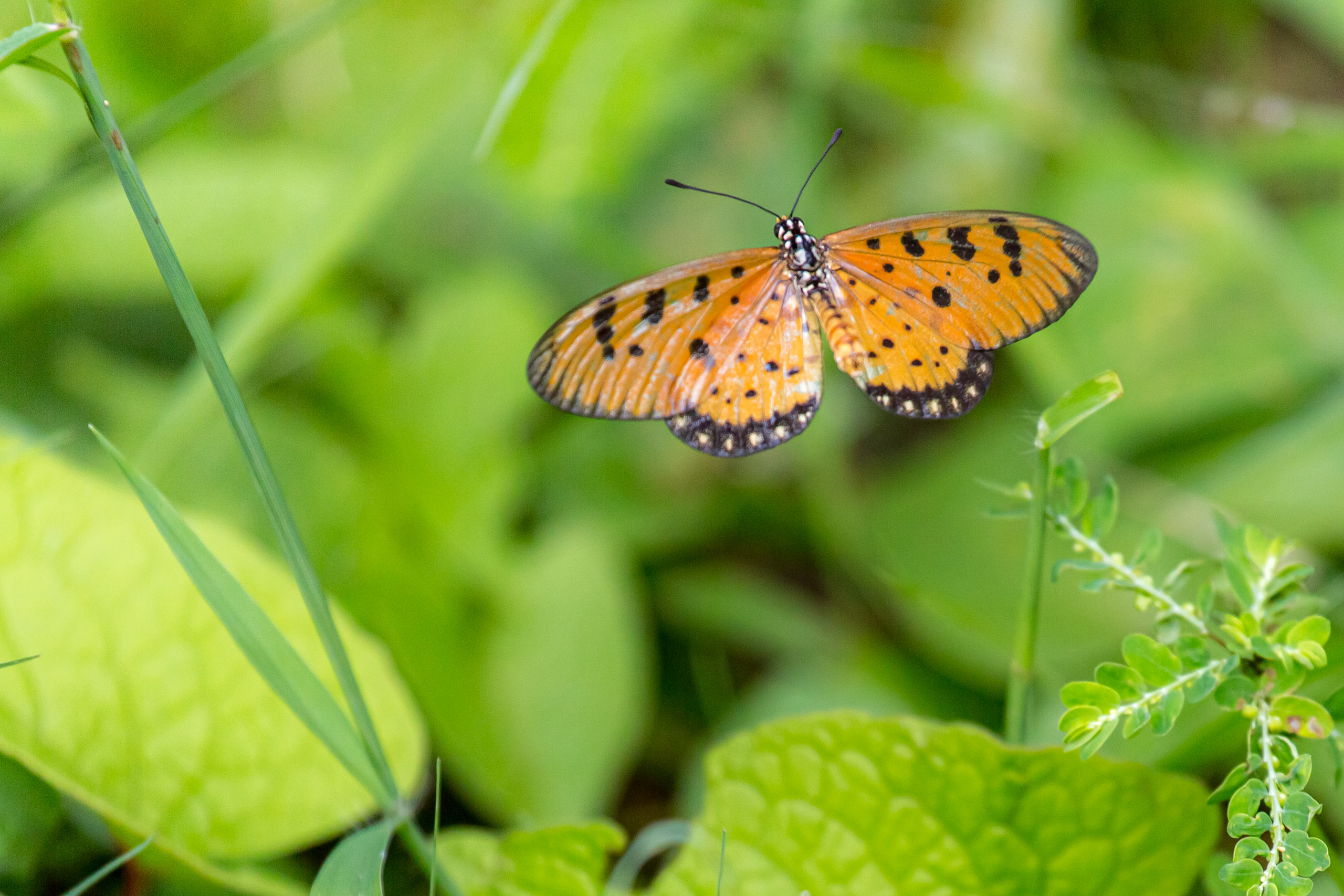 20130111125120 RD 20481