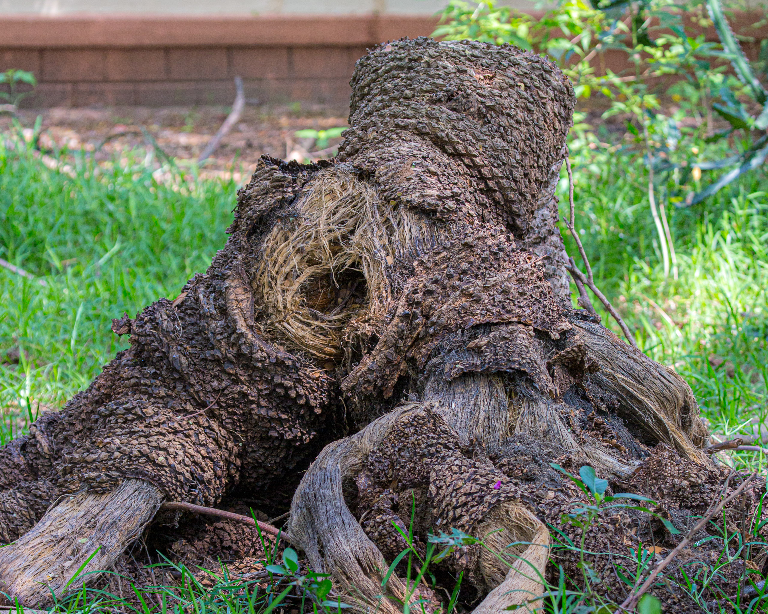 20130111125938 RD 20616