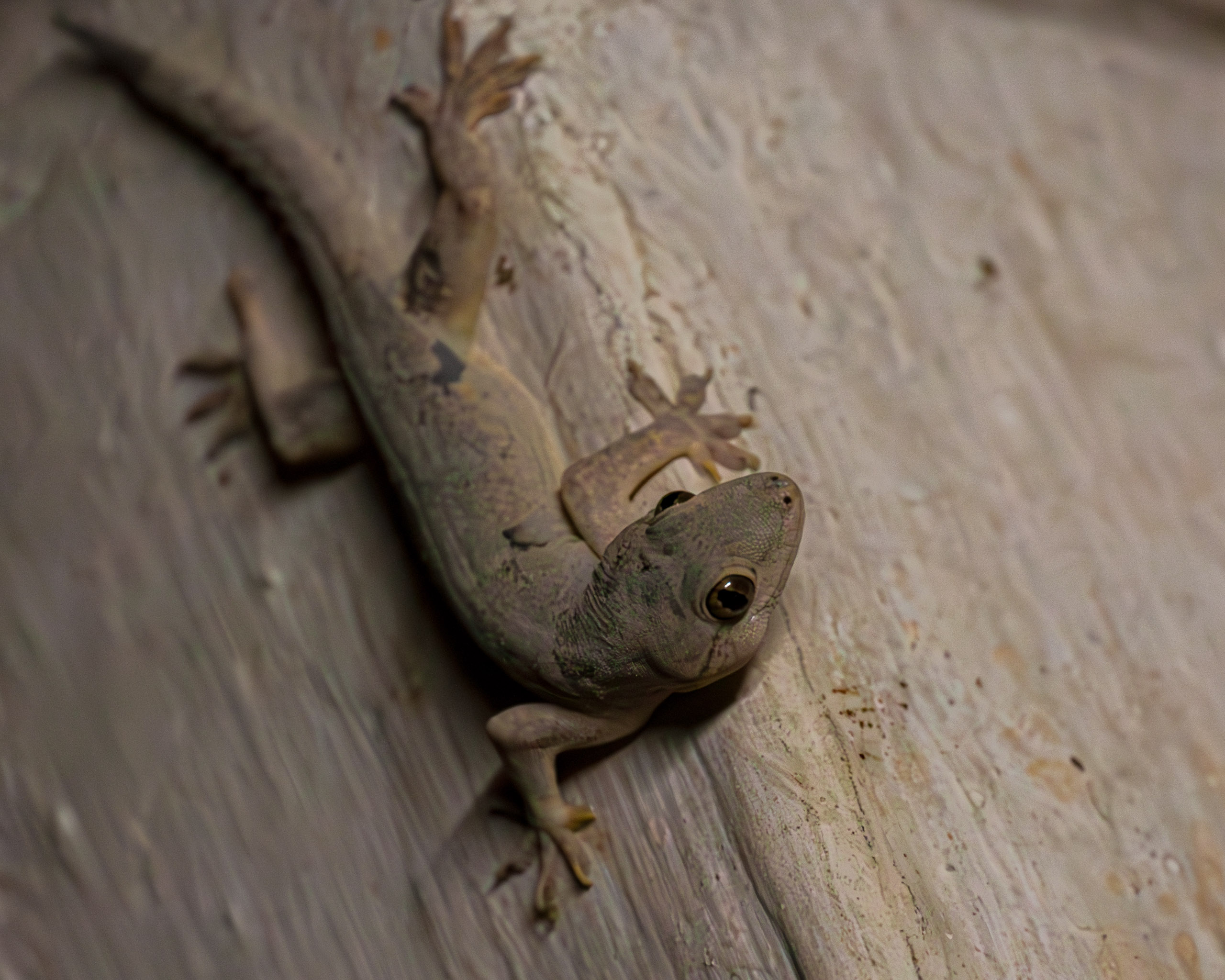 20130112214502 IMG 5223 e