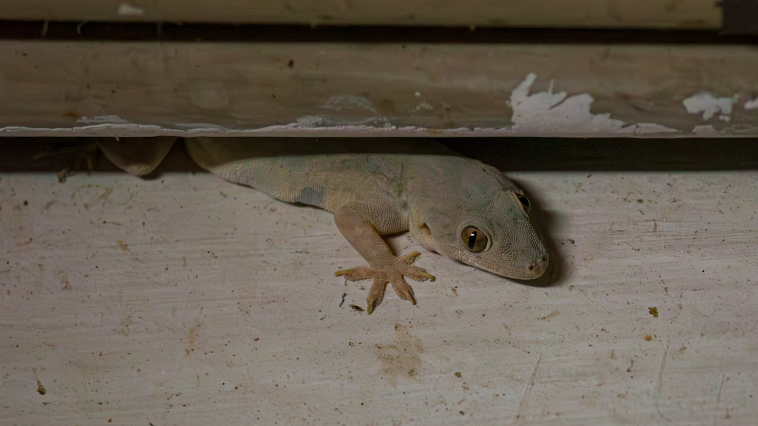 20130112214608 IMG 5242 e