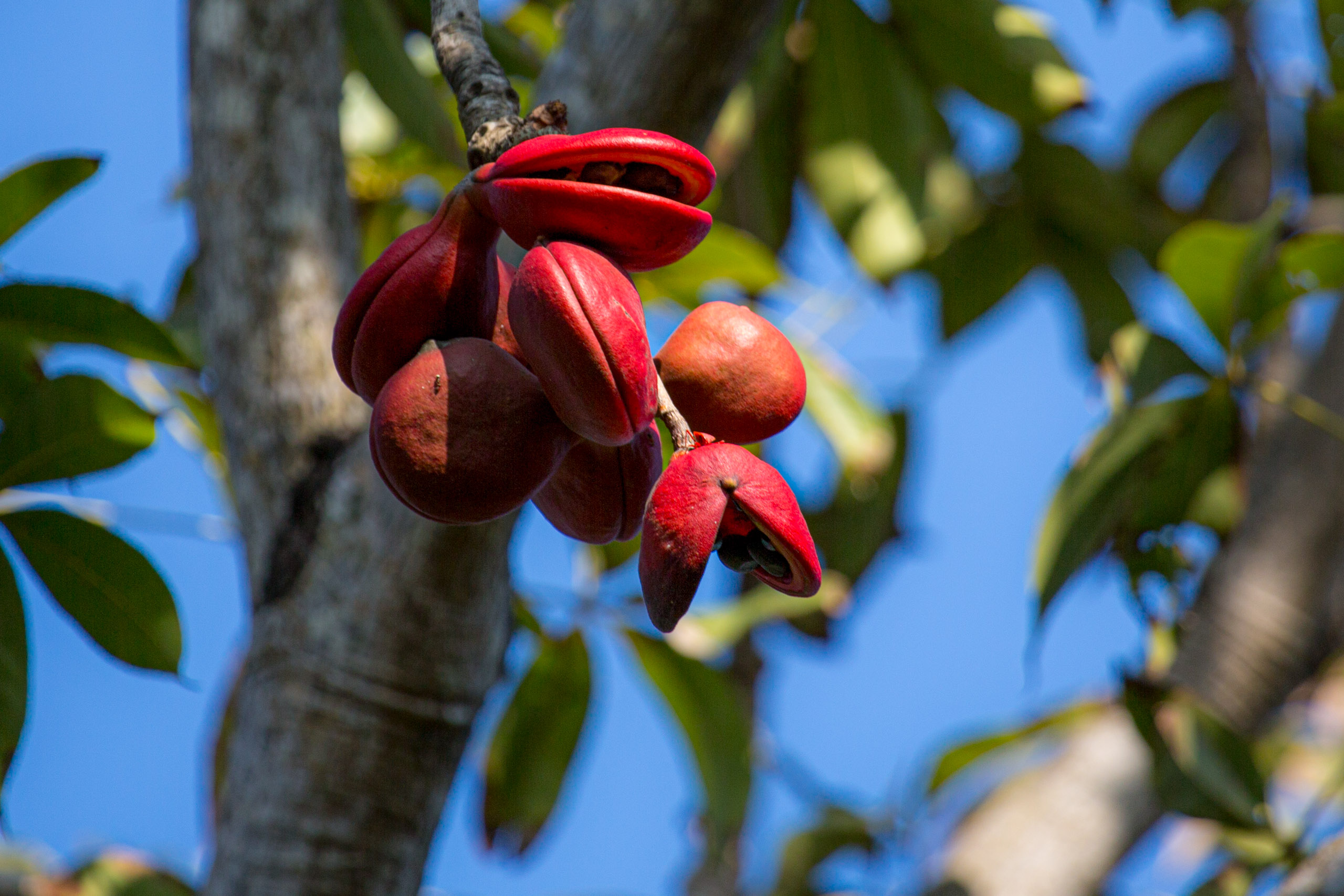 20130121160409 RD 25721