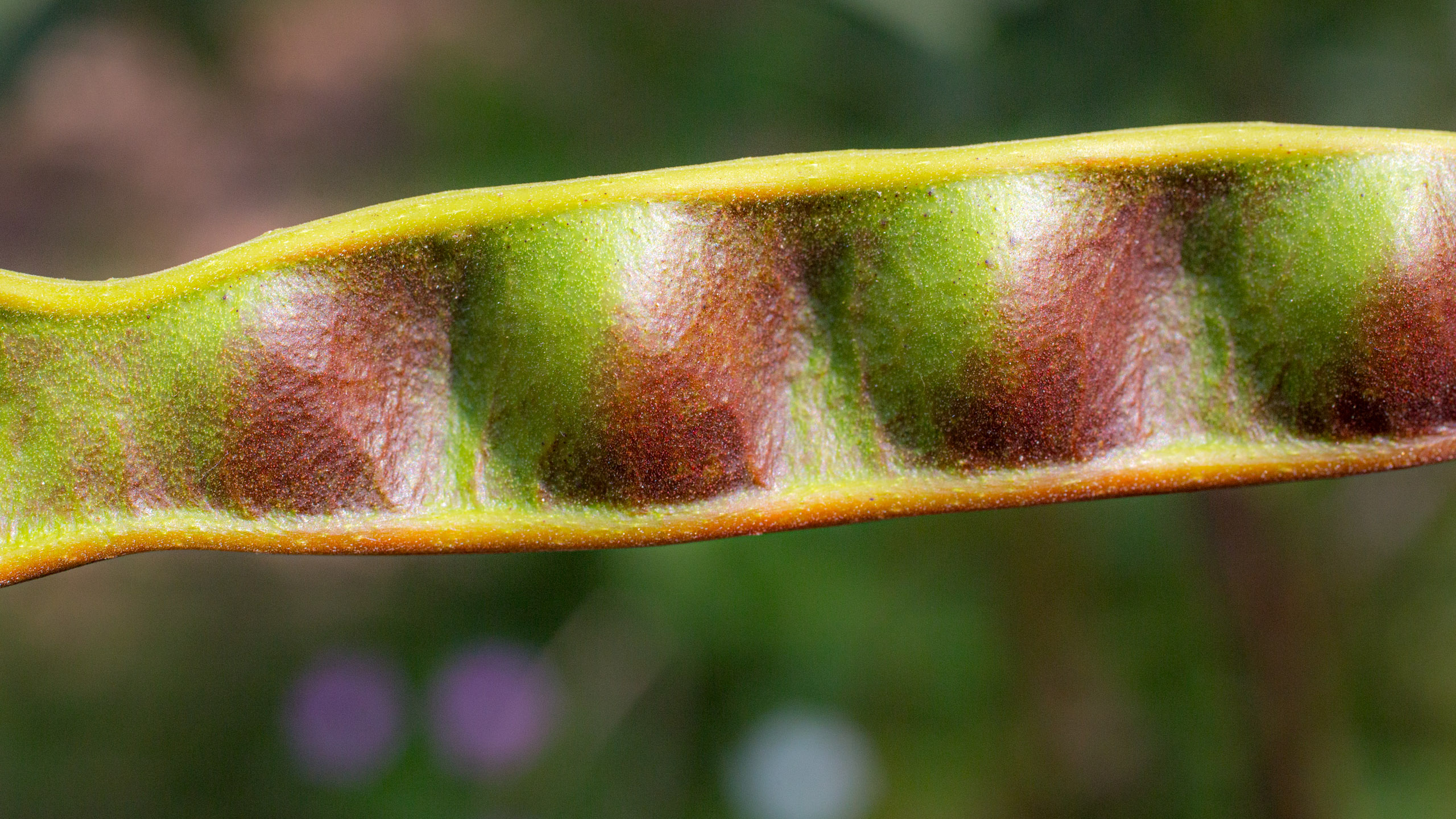 20130123110350 RD 26316