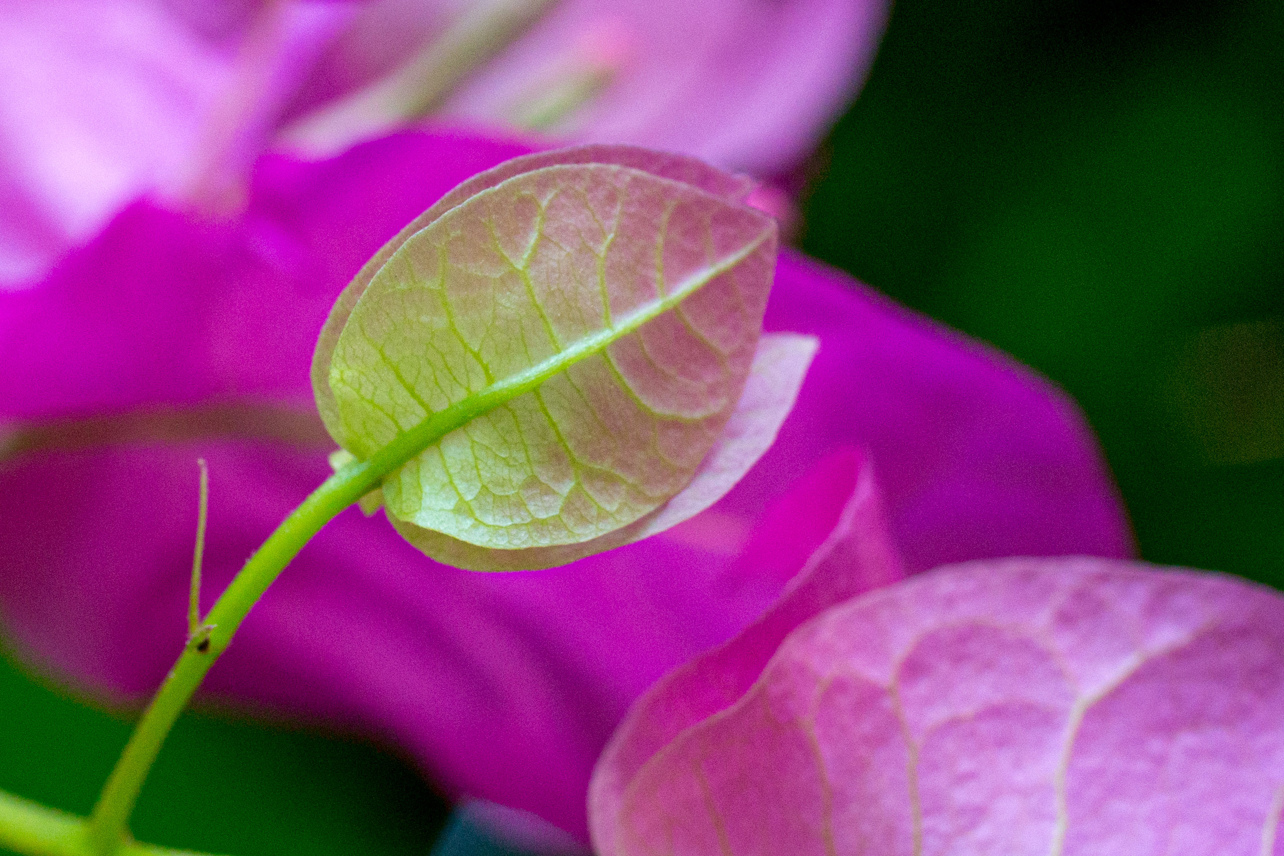 20130123111009 RD 26472