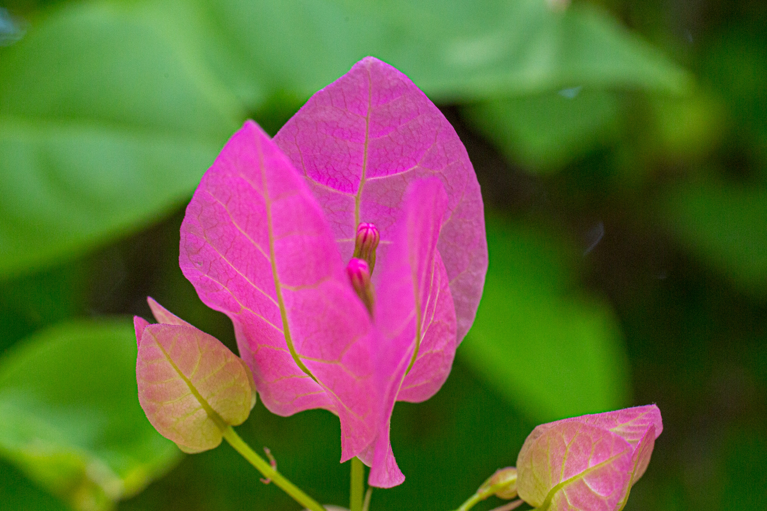 20130123111030 RD 26483